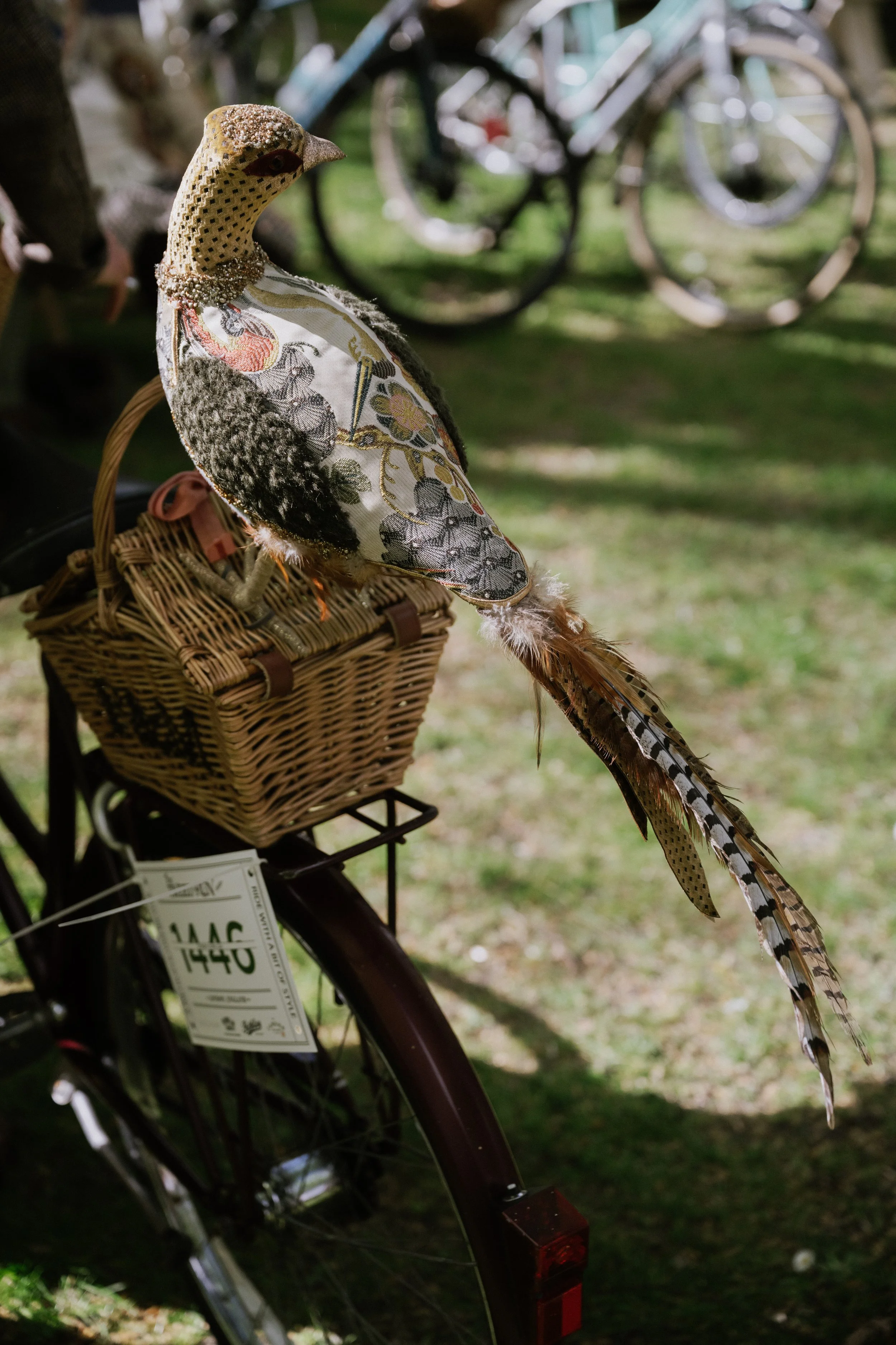 Tweed Run 2026_1482.jpg