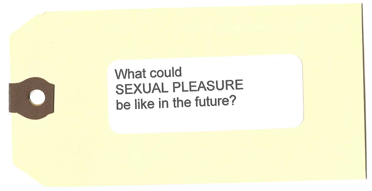 Safe Sex Work — Camille Snyder