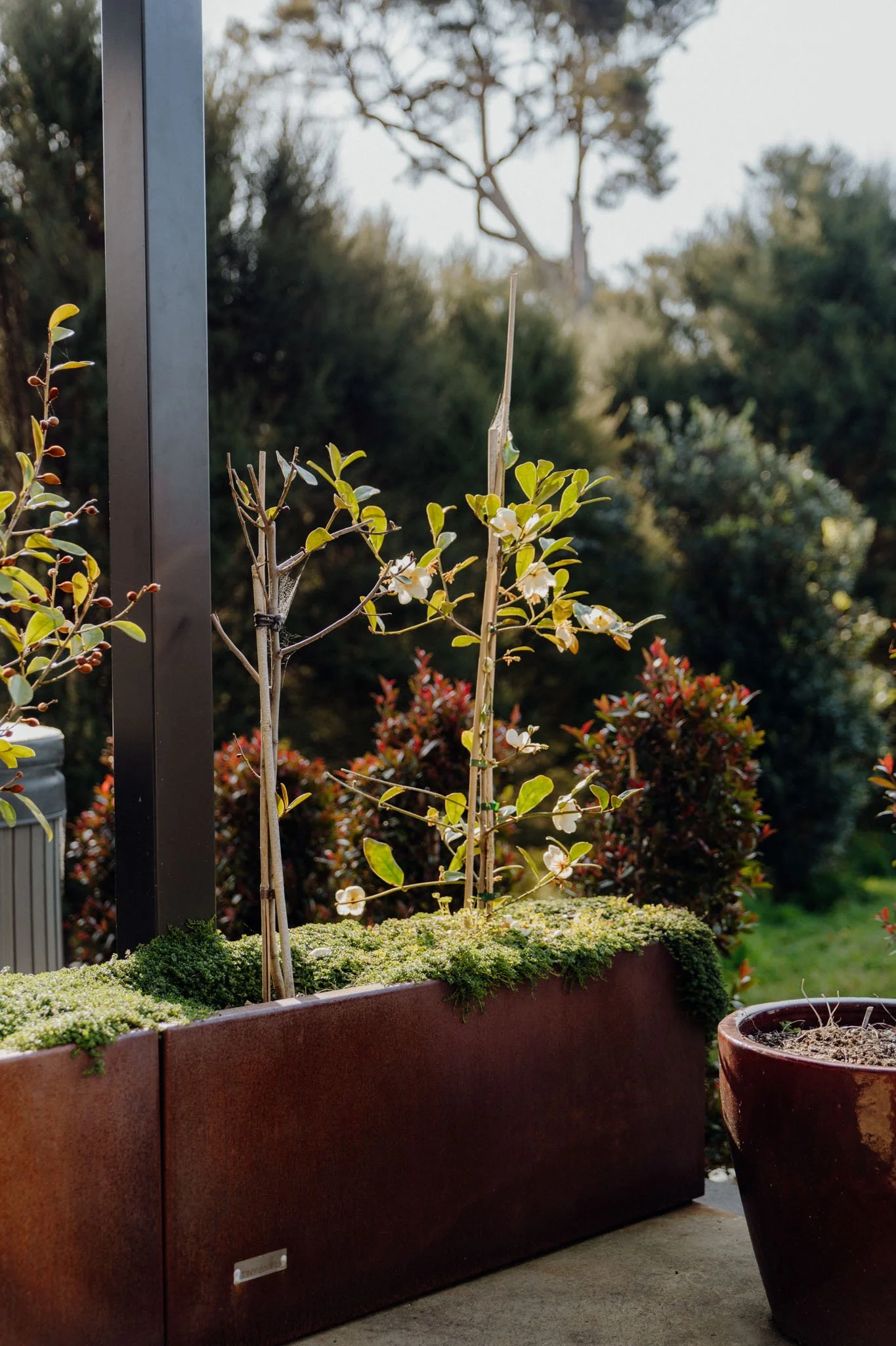 onsite-landscapes-pukekohe-whitford-29.jpg