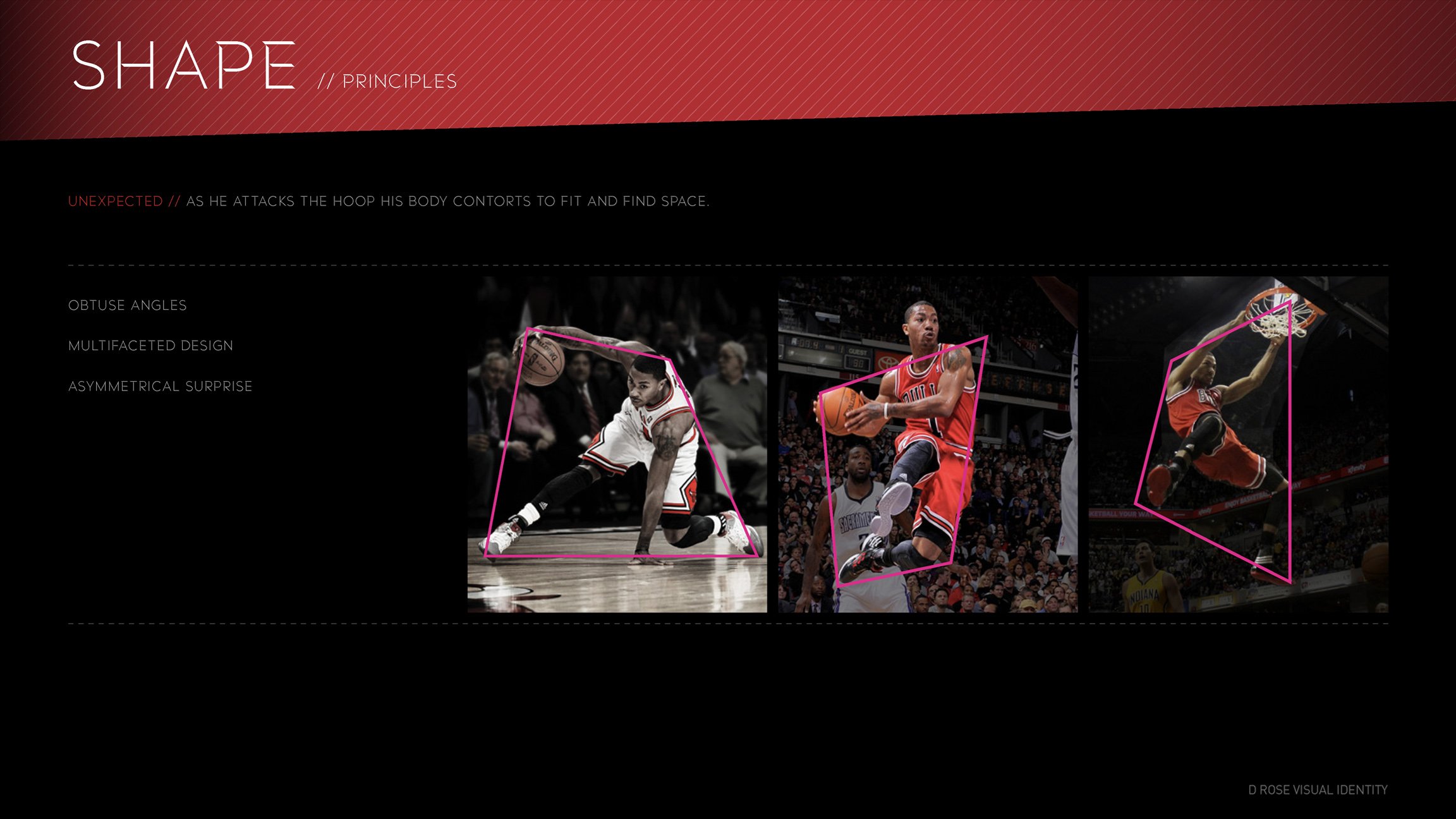 DROSE_WEB_DNA_4.jpg