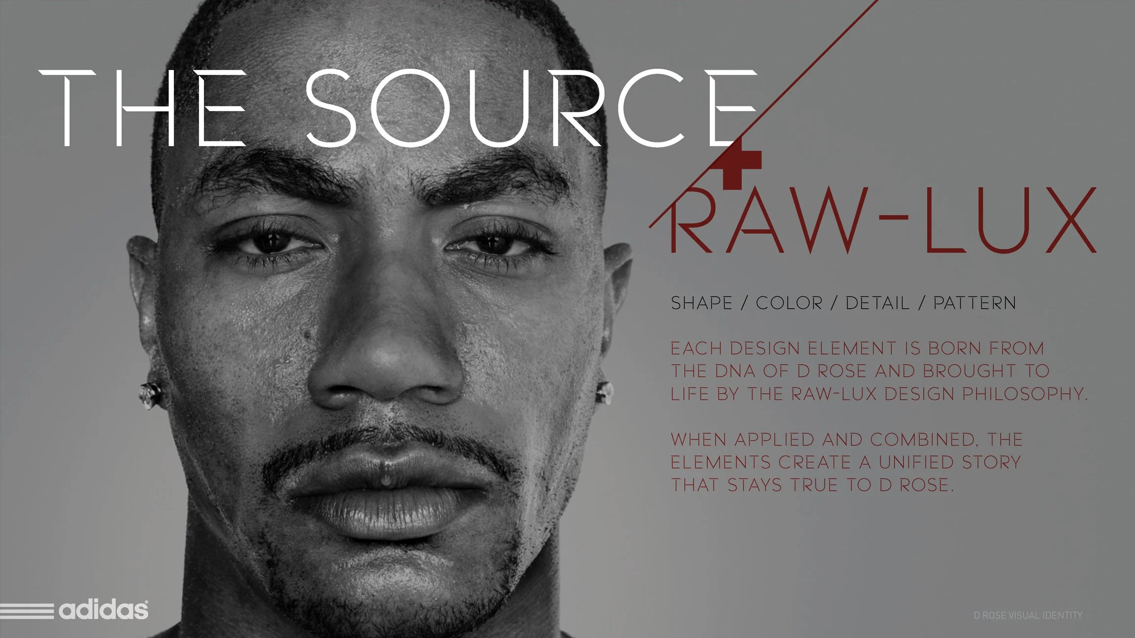 DROSE_WEB_DNA_15.jpg