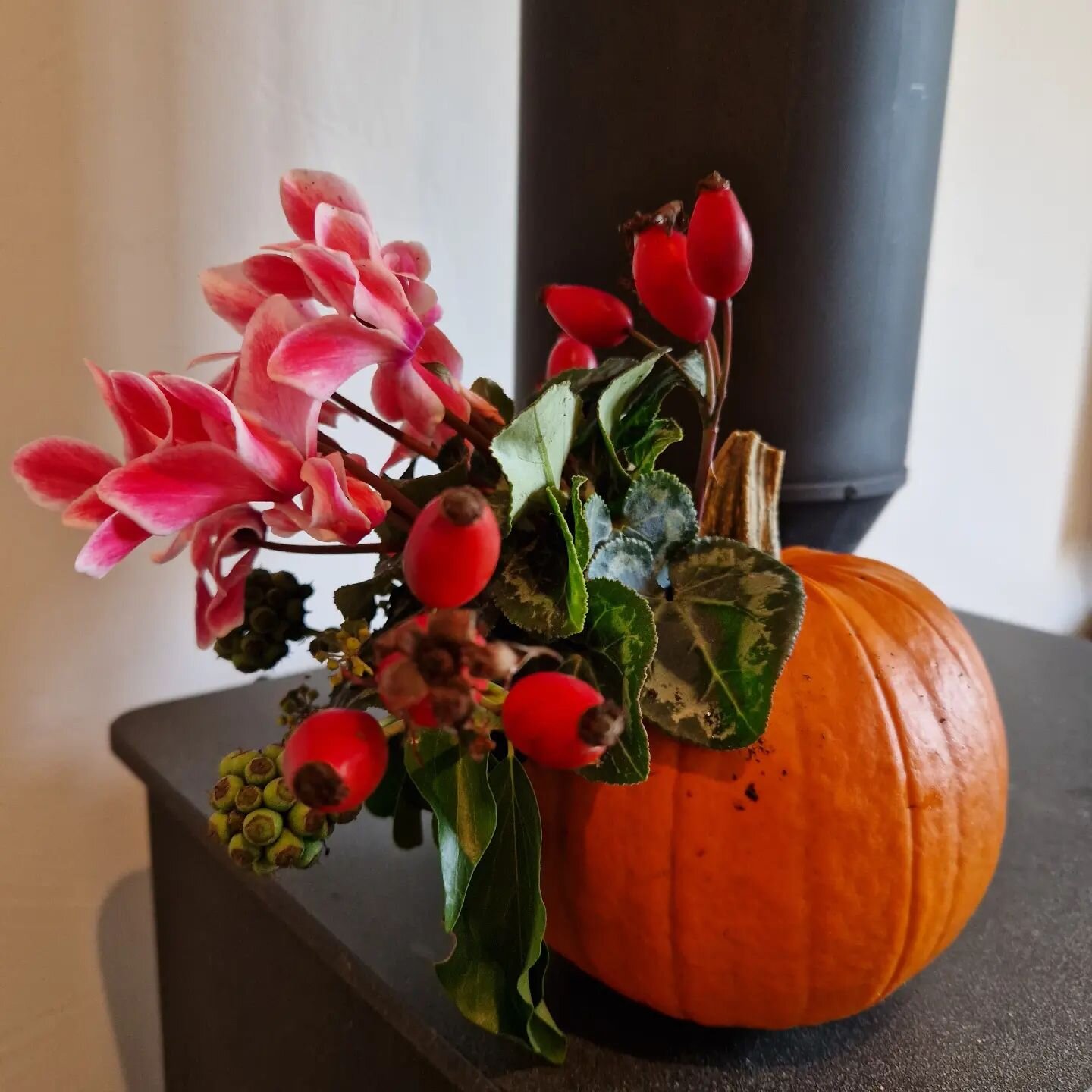 Feeling bit creative today and wanted to make a little seasonal treat for my lovely mum who is stuck indoors at the moment. Bought the pumpkin and the cyclamen, then a little bit of hedgerow foraging for the rest. Brought a smile to mum's face xx
