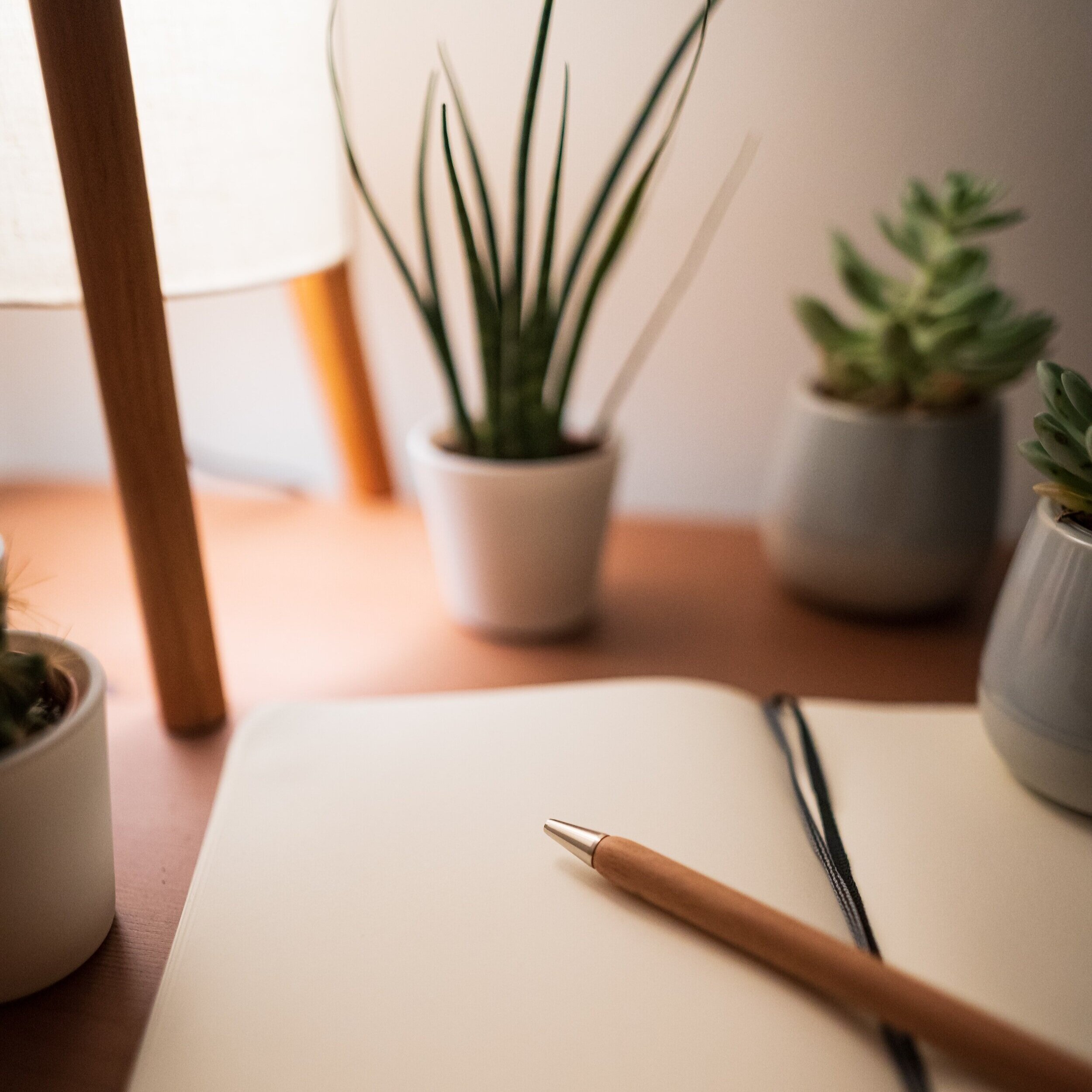 Major mistakes that beginner investors make