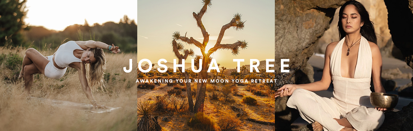 Joshua Tree | Yoga Retreat