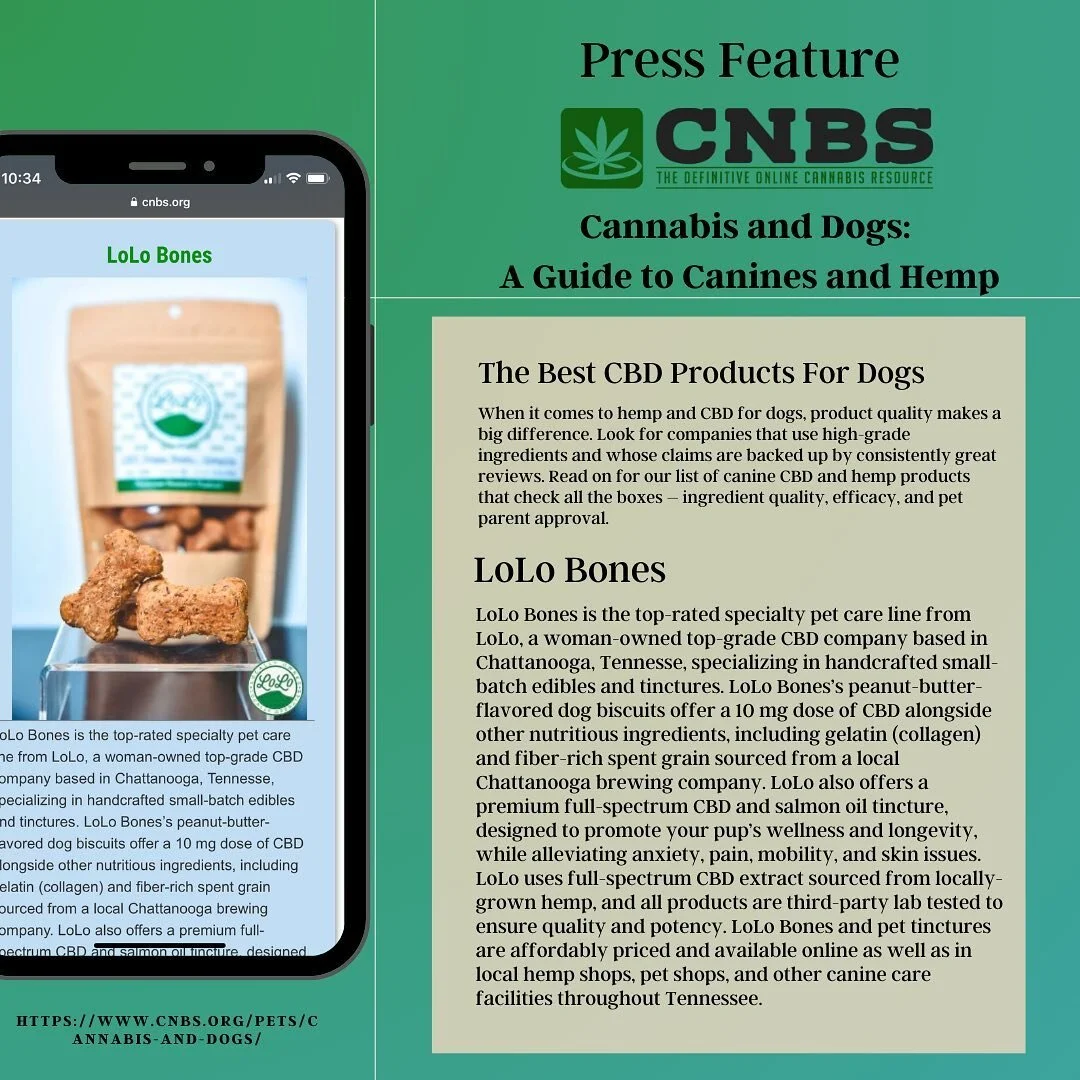 LoLo Bars Treat Yourself