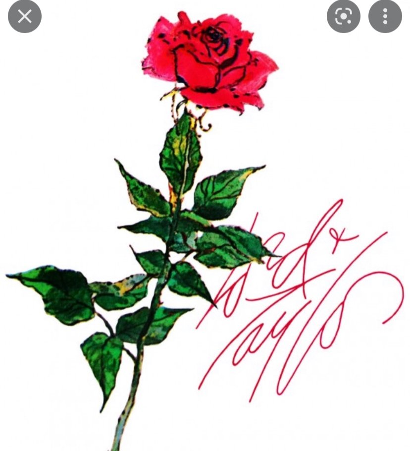 Inspiration photo for the Lord and Taylor boxes