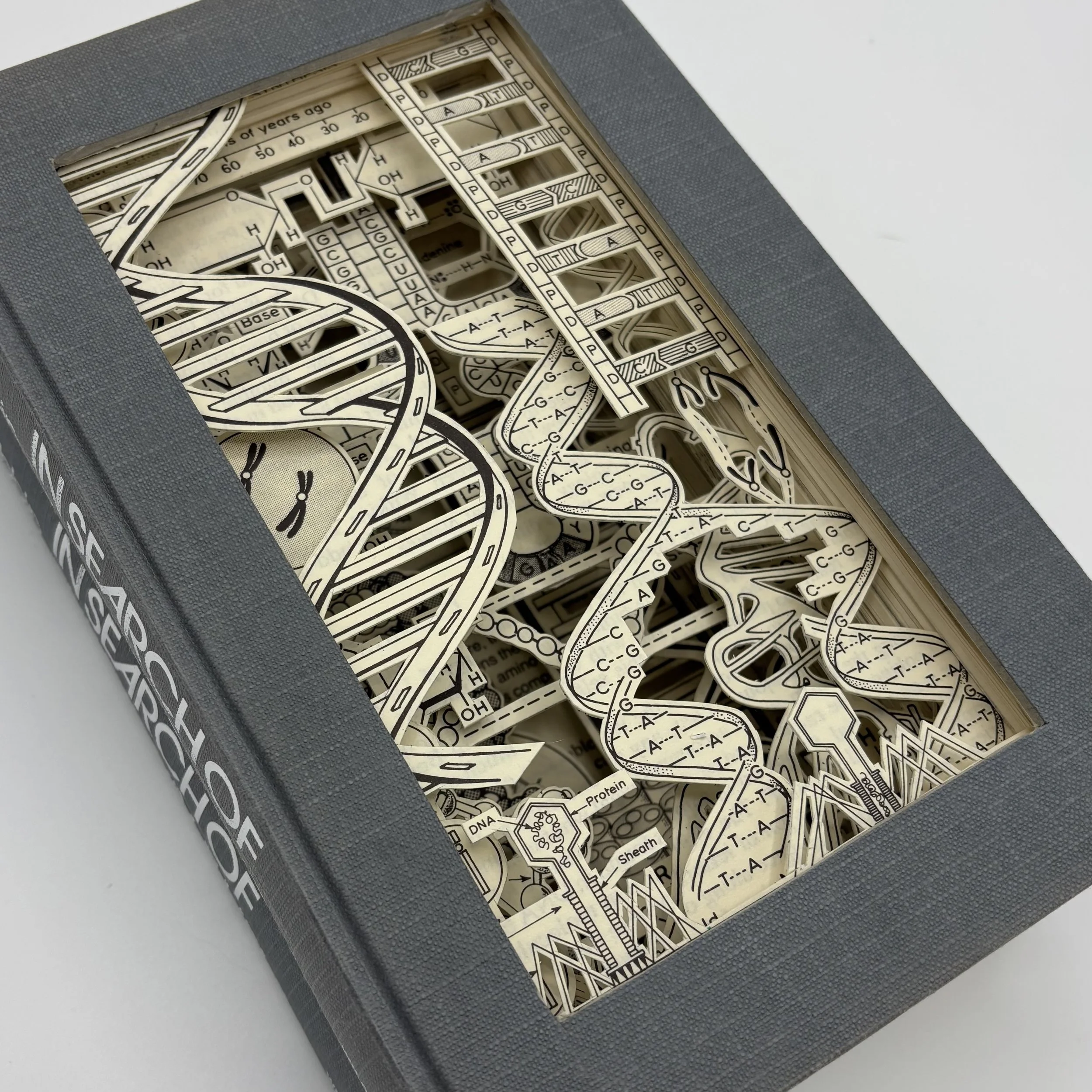 In Search of the Double Helix