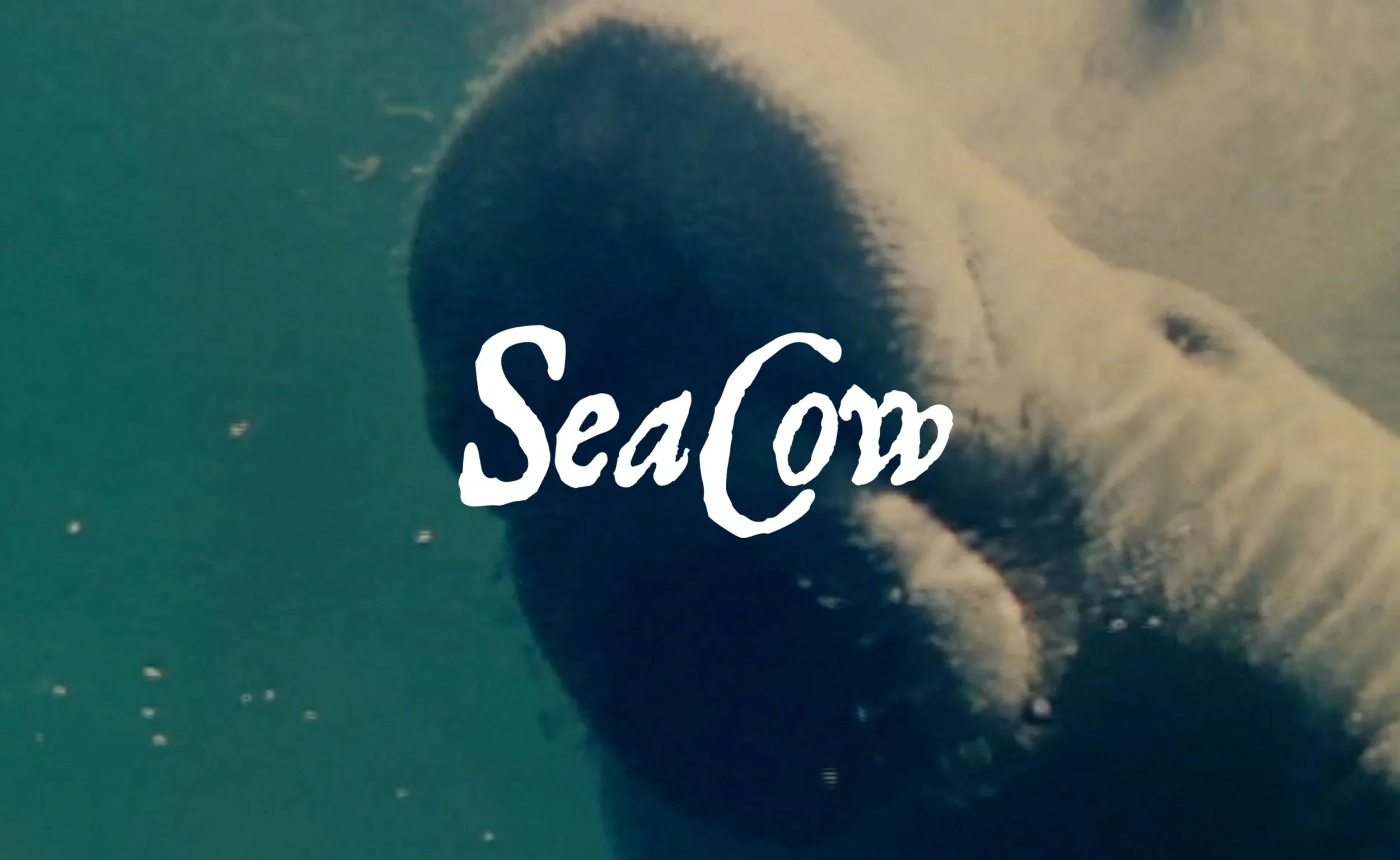 SeaCow.jpg