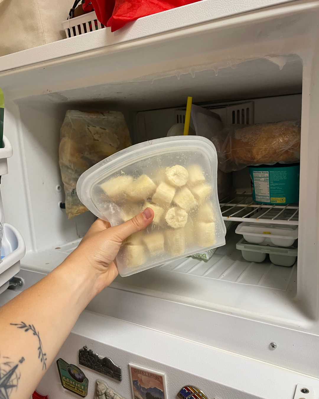 The BEST Eco Swaps from 2025 to try in the New Year