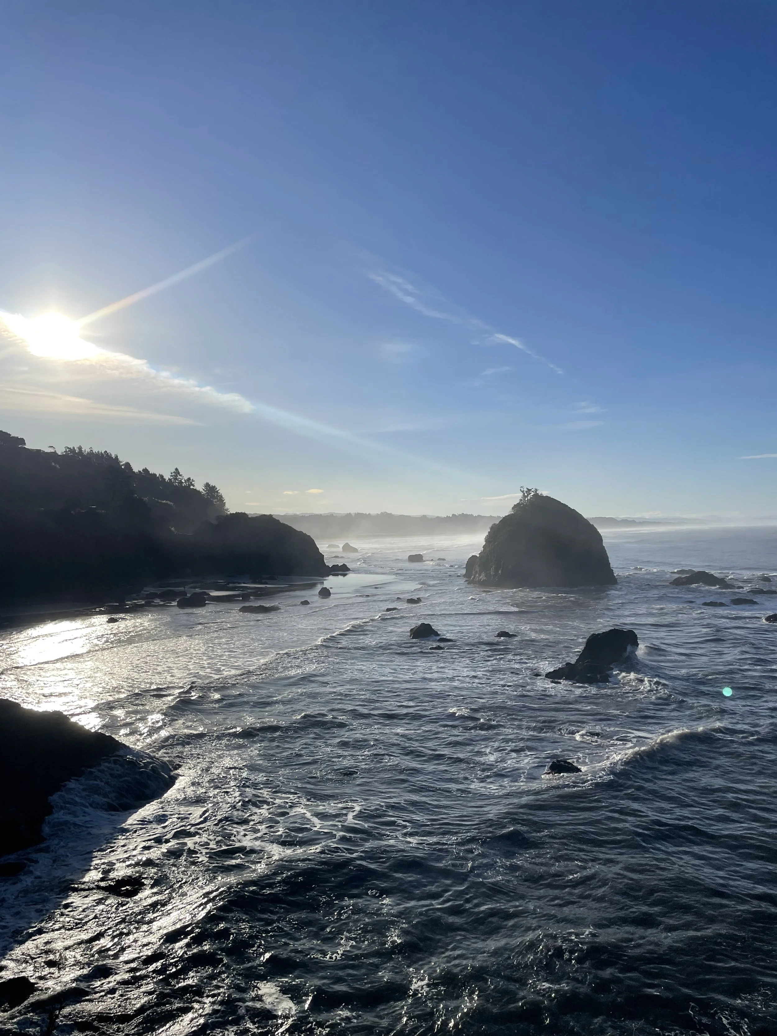 The History of Earth Day and Modern Environmentalism