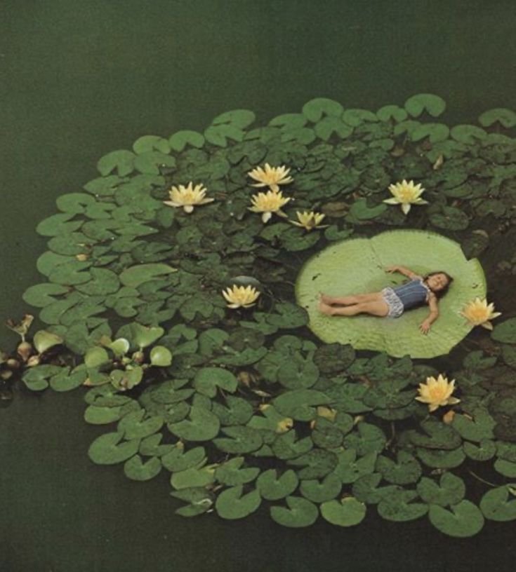 Dream Garden - rest.jpeg