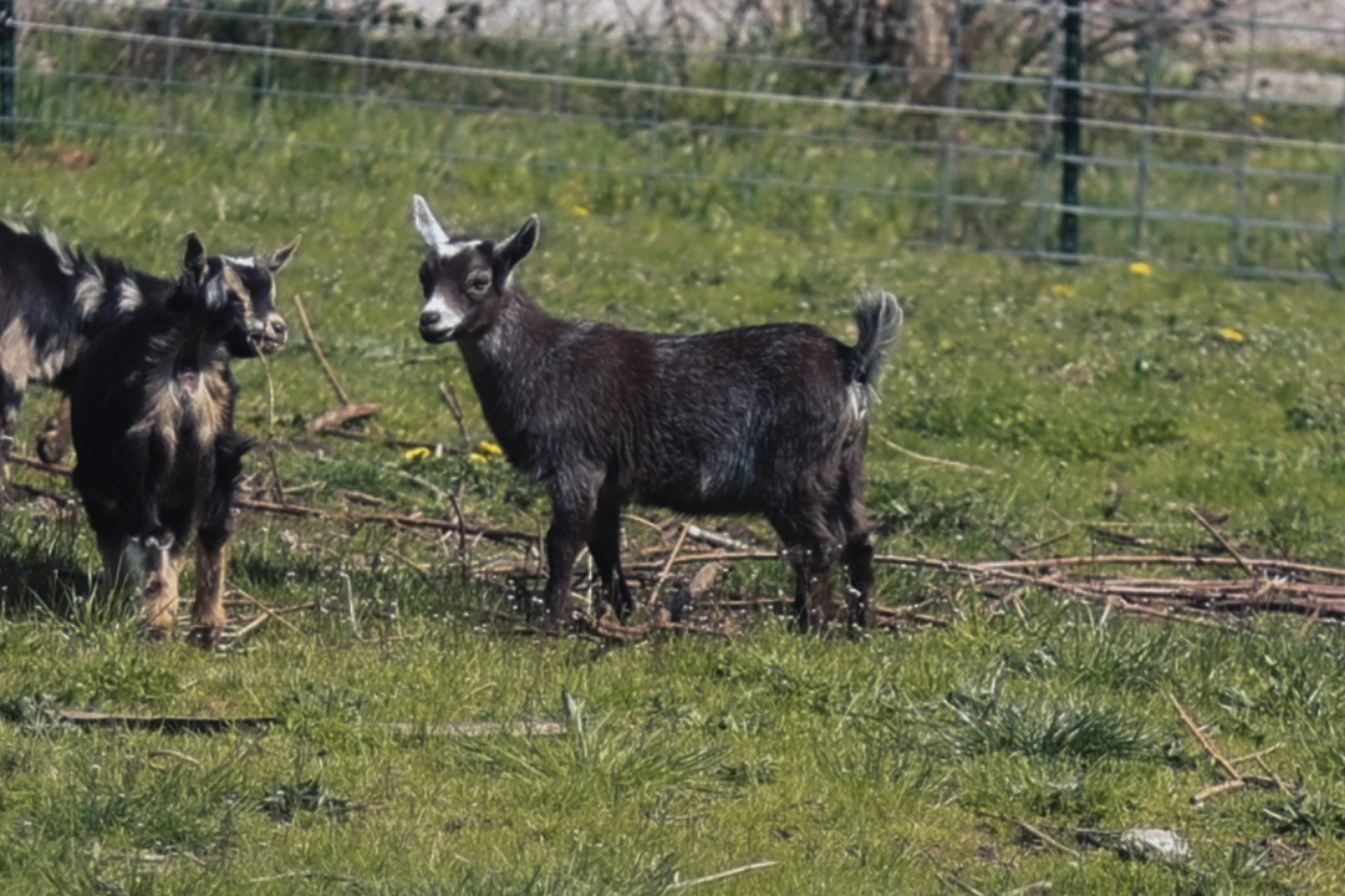 Screen Shot 2023-04-14 at 11.03.42 PM.jpg