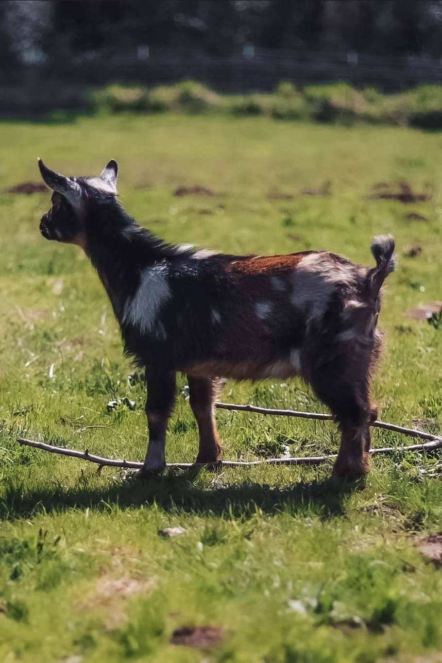 Screen Shot 2023-04-14 at 11.15.43 PM.JPG