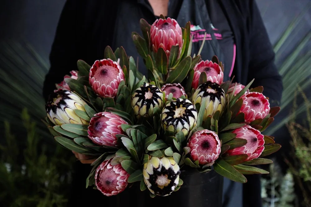 Home — About Flowers