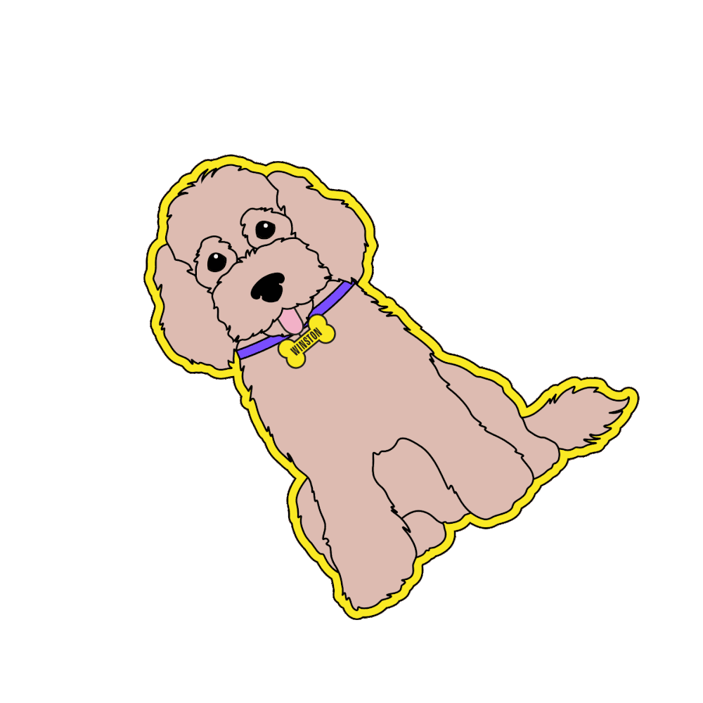 community-national-fashion-college