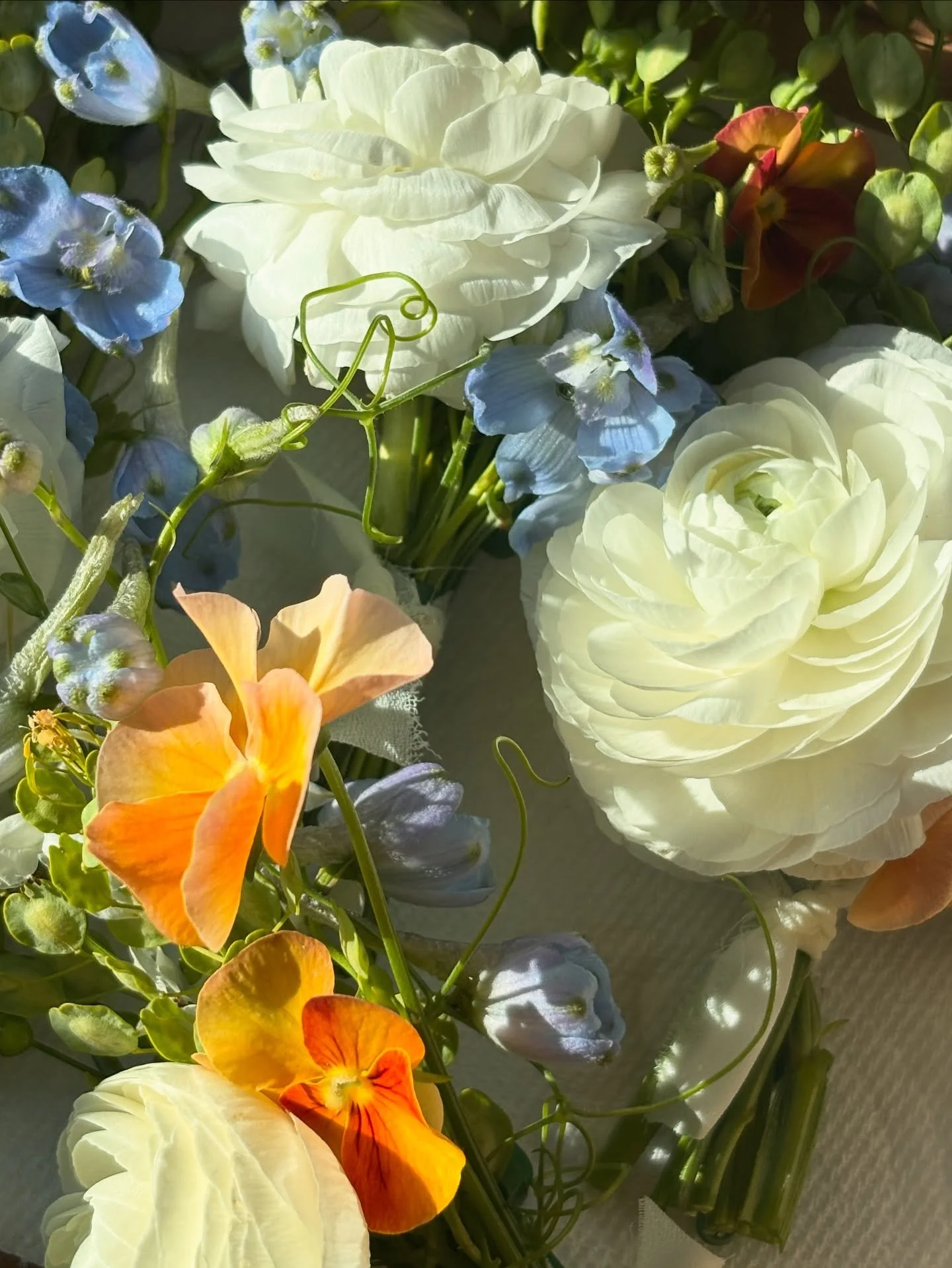 Prettiest bouts with soft petals and sweet pea tendrils