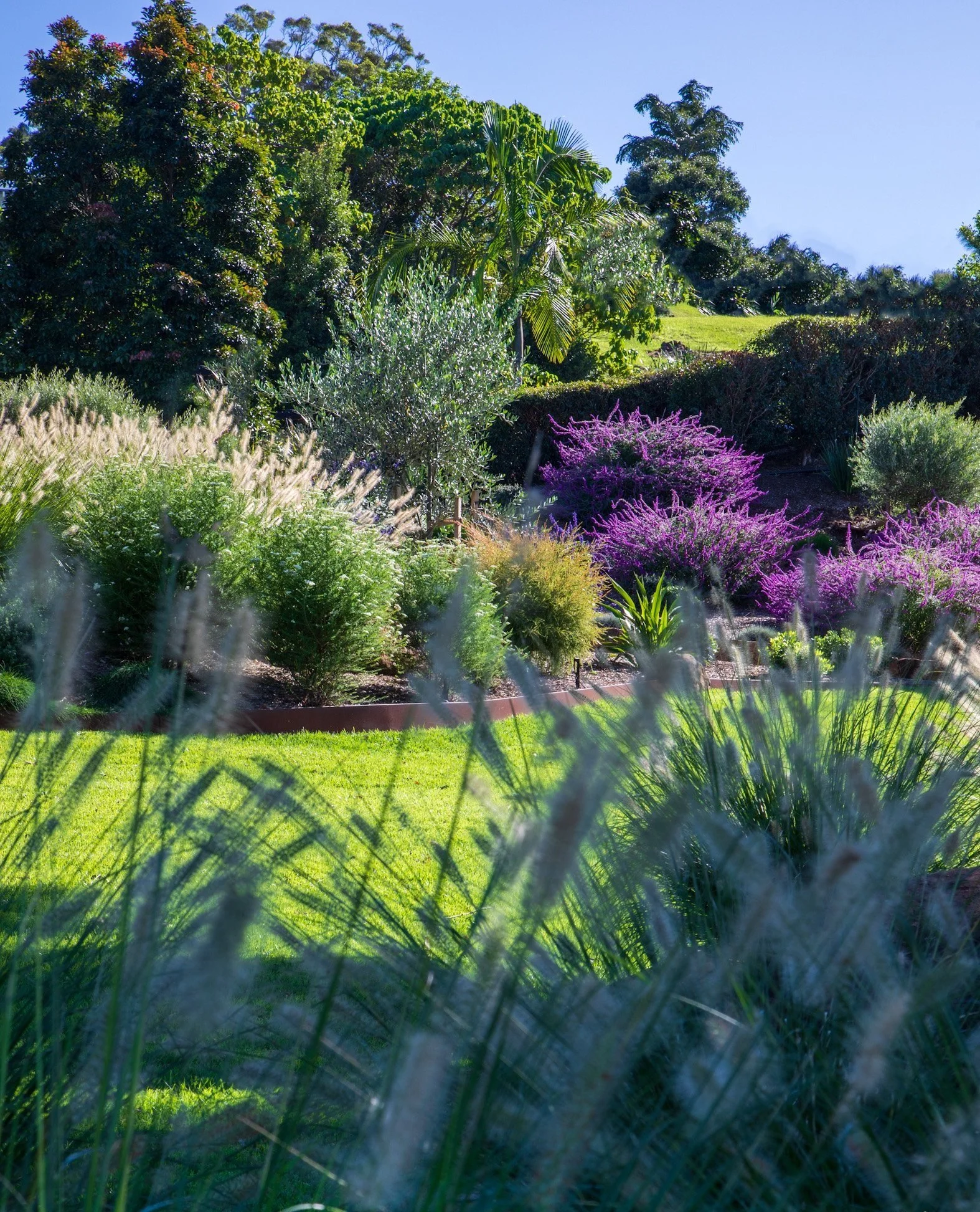 Landscape Designer Newcastle