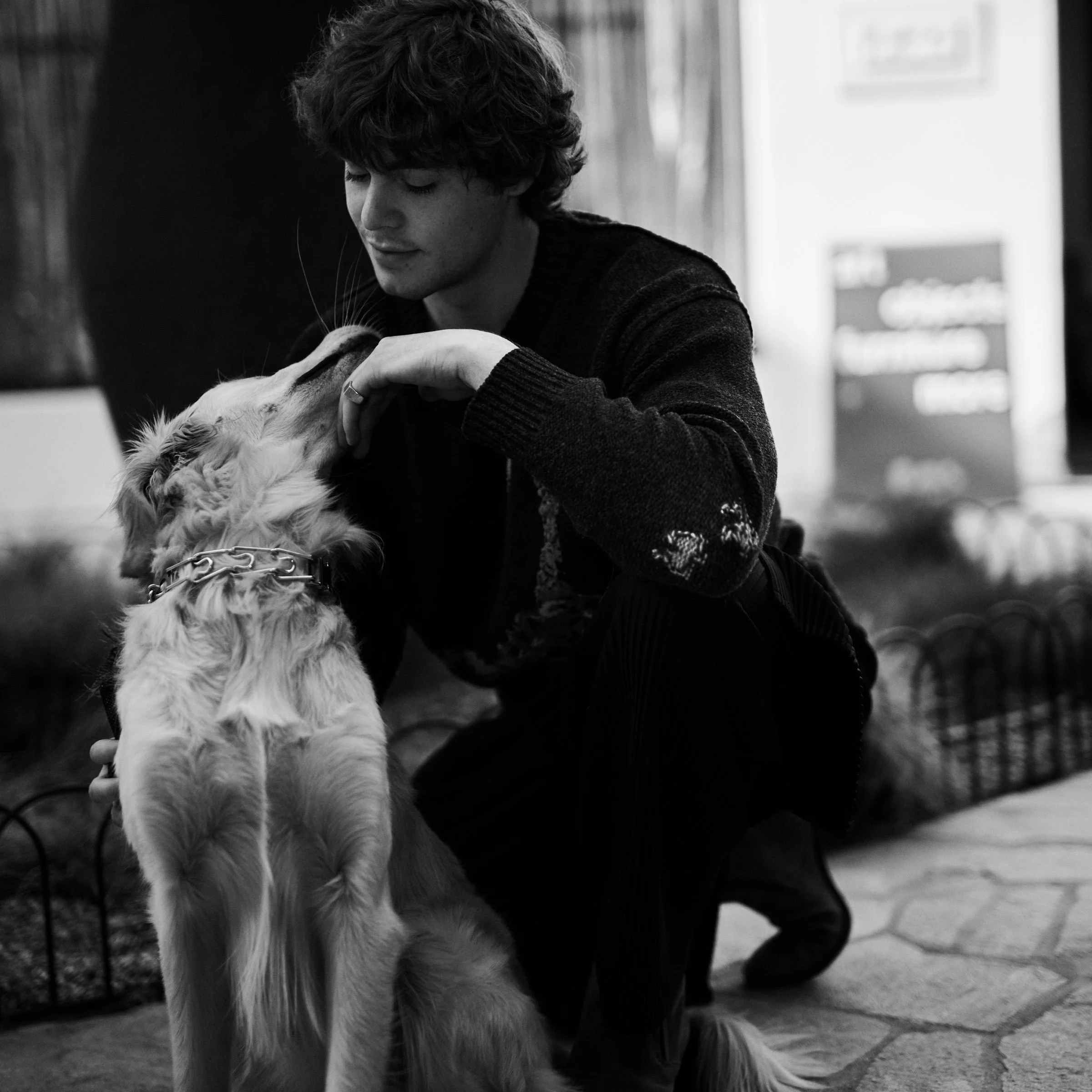 DISNEY. VESTAL. WINTER 2026