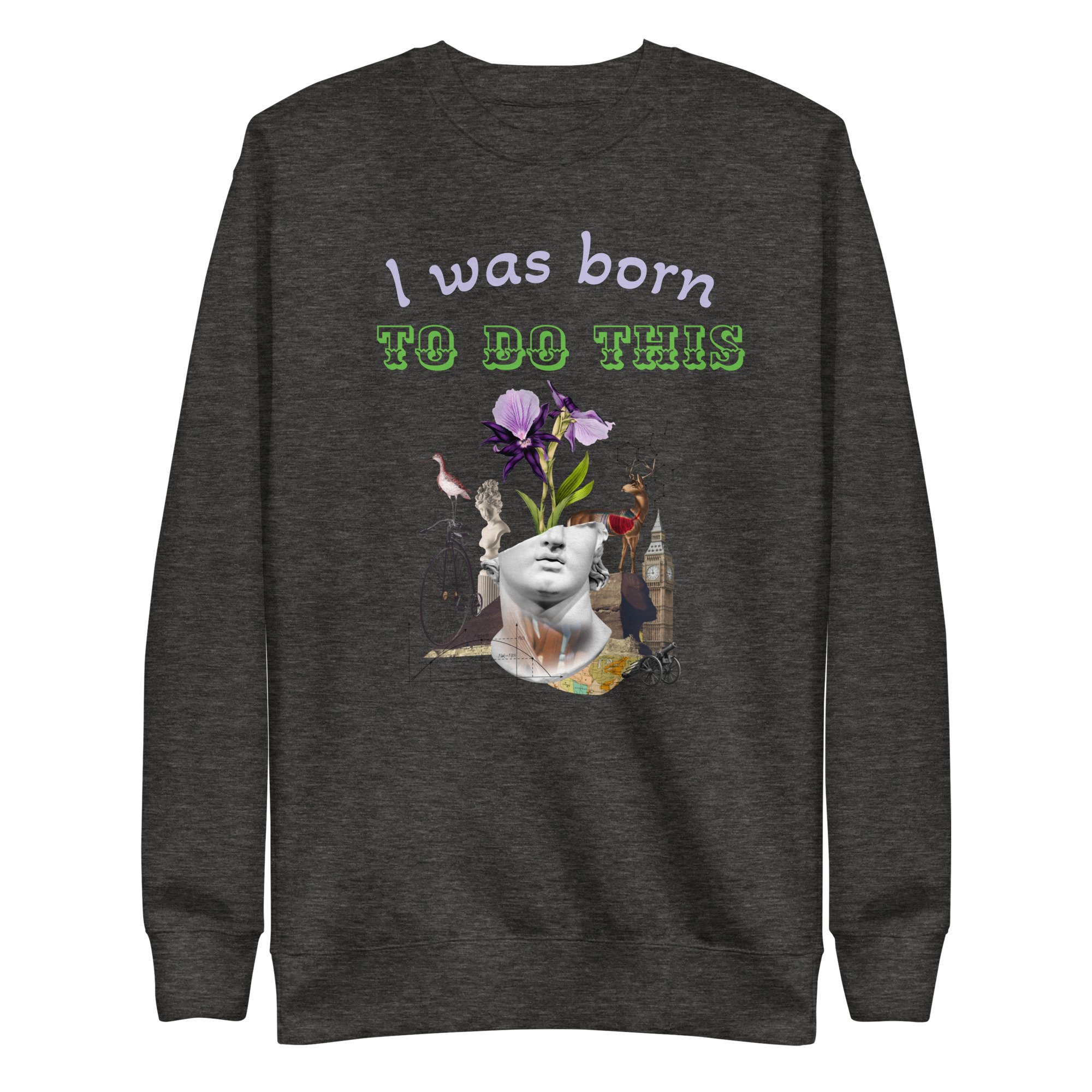 unisex-premium-sweatshirt-charcoal-heather-front-654c69eb1f9eb.jpg