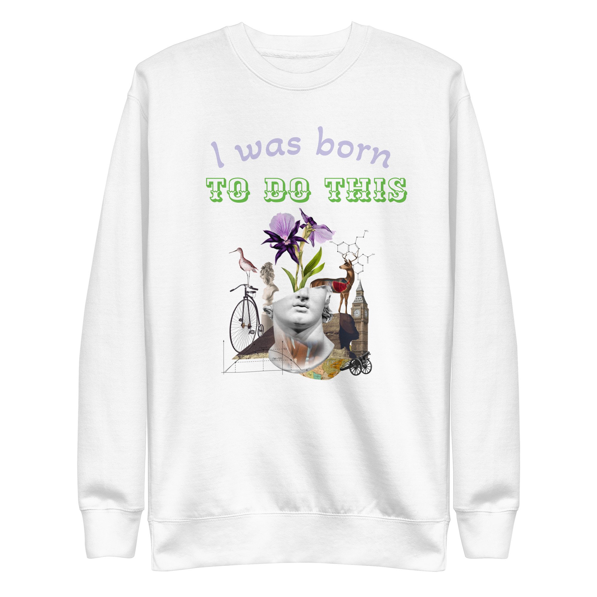 unisex-premium-sweatshirt-white-front-654c69eb21f6f.jpg