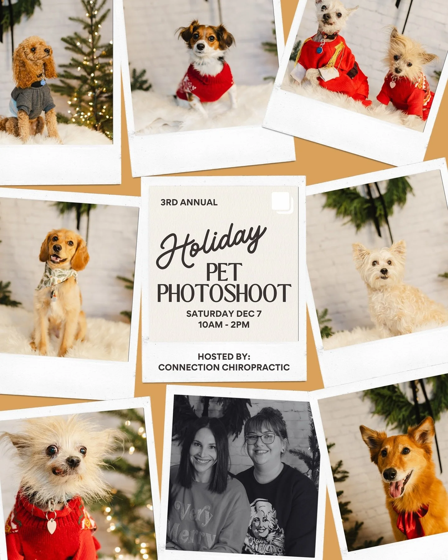 Paw-liday season is here! 😜❤️

I&rsquo;m so excited to be capturing your furry friends at the 3rd Annual Holiday Pet Photoshoot, hosted by @connectionchiro ✨

Every dollar raised will support the CJCS/Kiwanis Christmas Basket Fund, helping families 