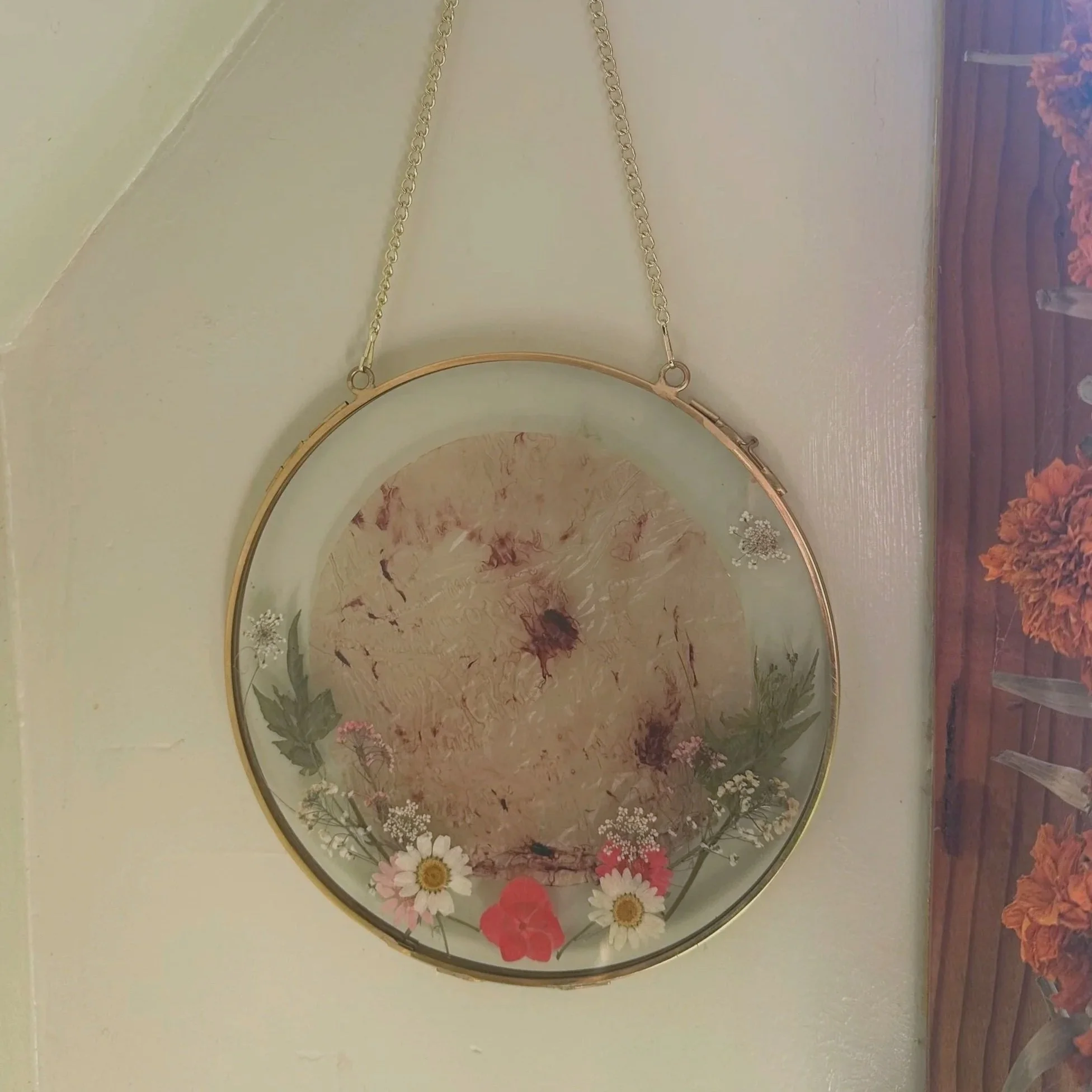 Framed Amniotic Veil