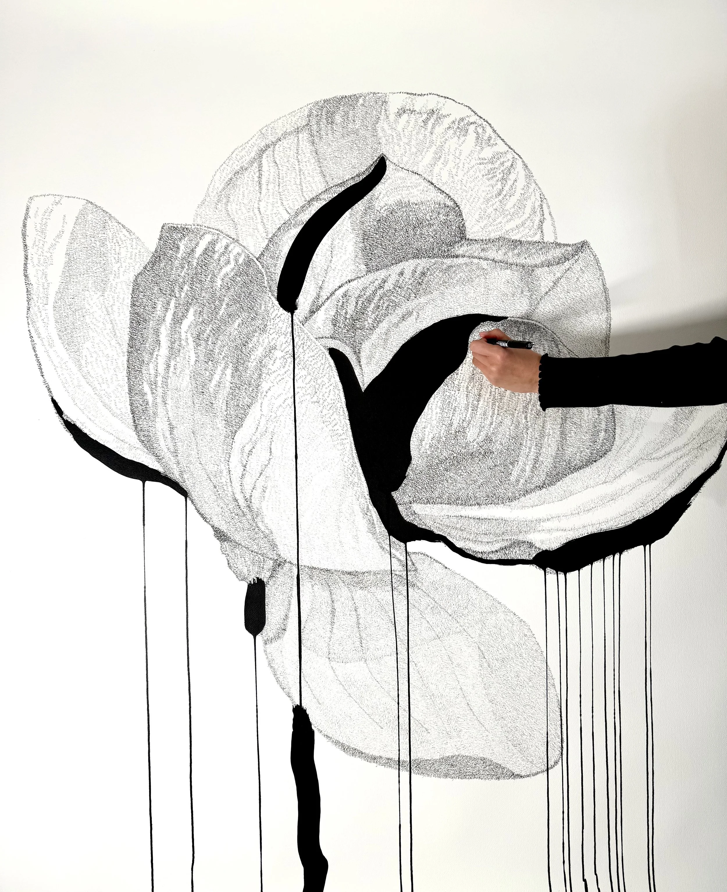 Roots Finding Water Again