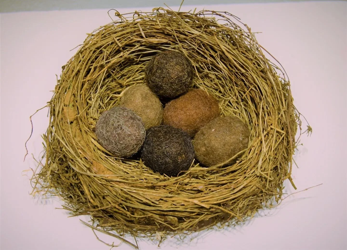 <Nest | 4.5 x 5 x 4 in> on view @womanmadegallery Roe 2.0-It Ain't Over Yet! 1.28.23 - 3.4.23

Abandoned bird nest, hair representing different nationalities, colors, and ages of women.

We all came from one nest.
We have broken our shells to c