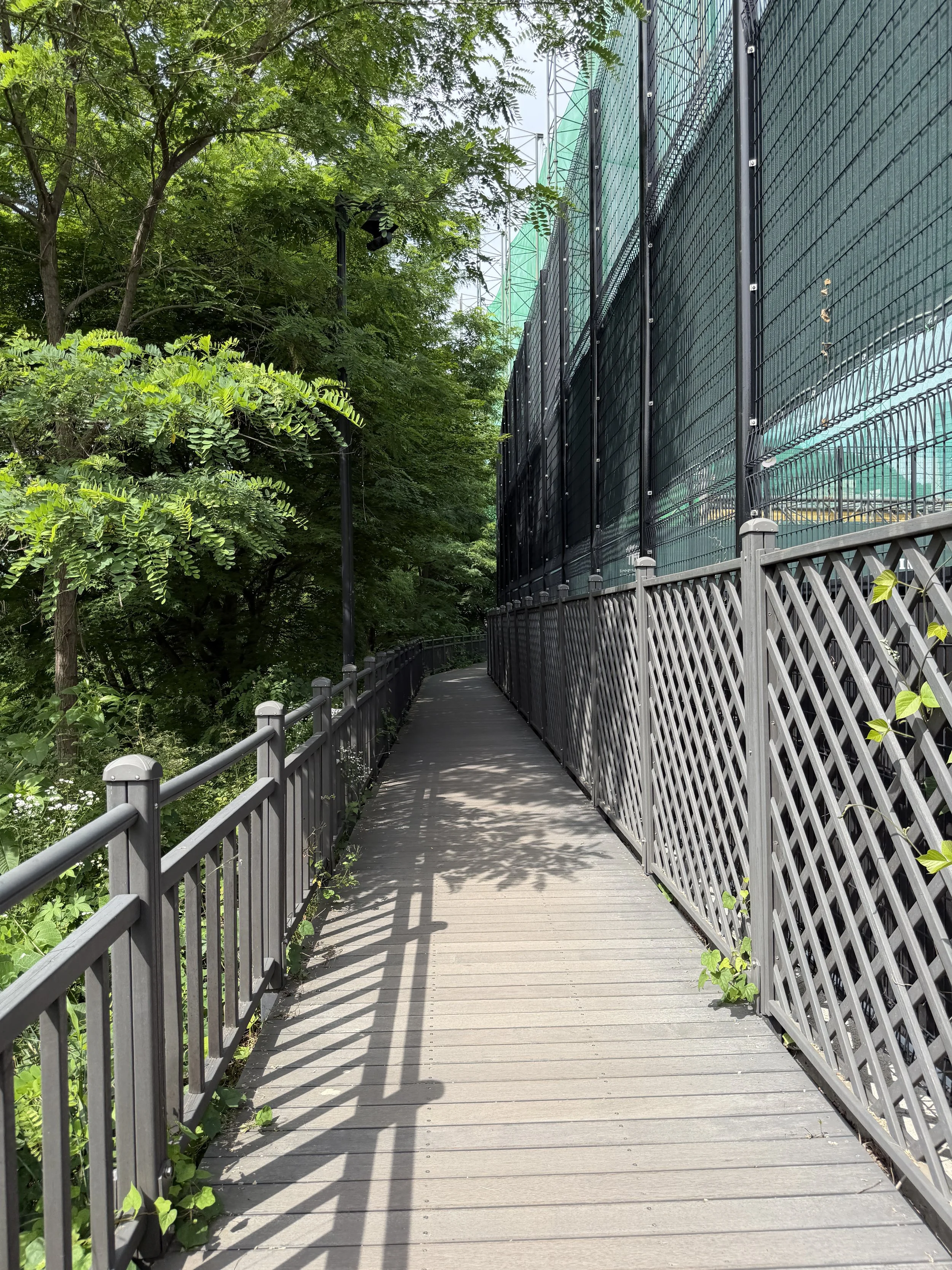 tennis court trail banyan tree namsan seoul city wall .JPG