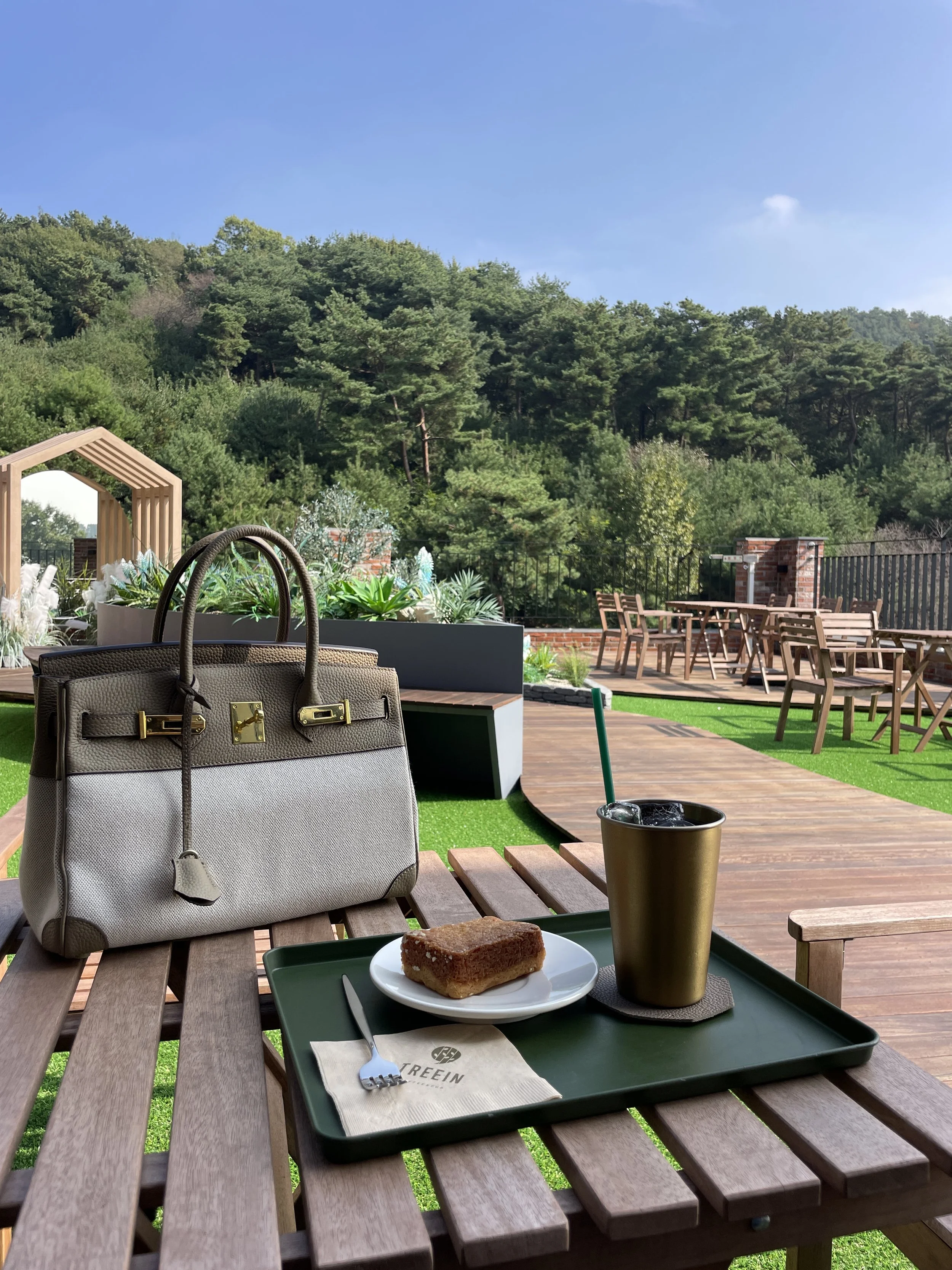 Coffee Talk: Tree In Cafe 