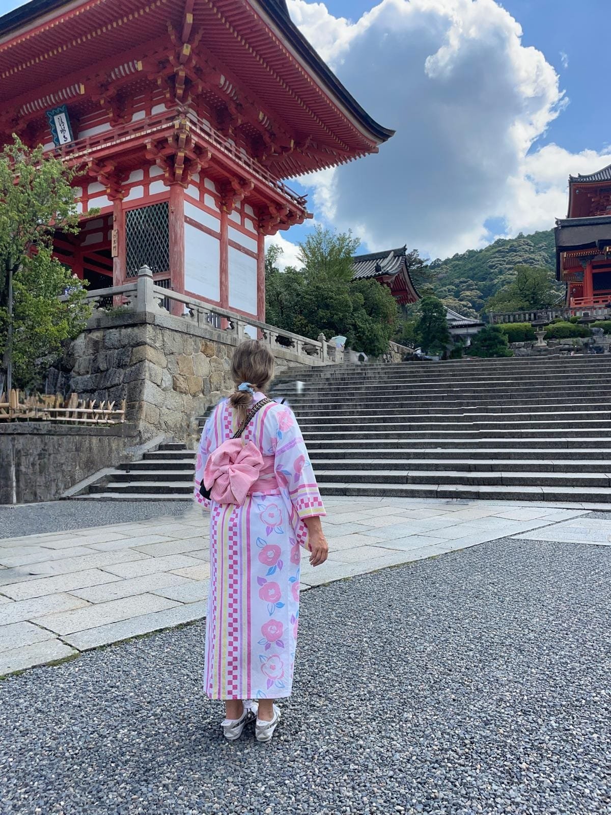 One Day in Kyoto &amp; Nara