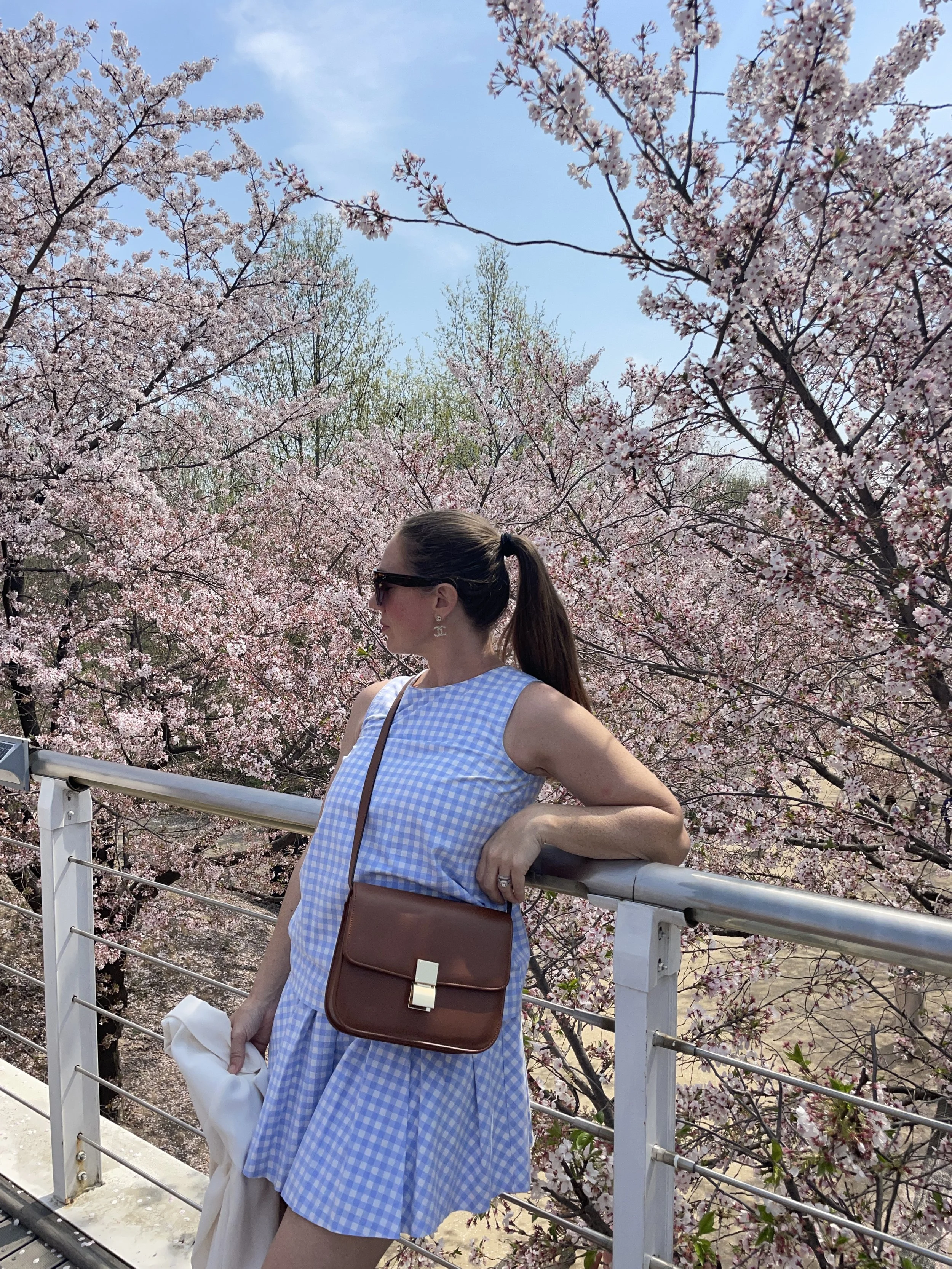 The 2025 Ultimate Guide to Cherry Blossom Season in South Korea
