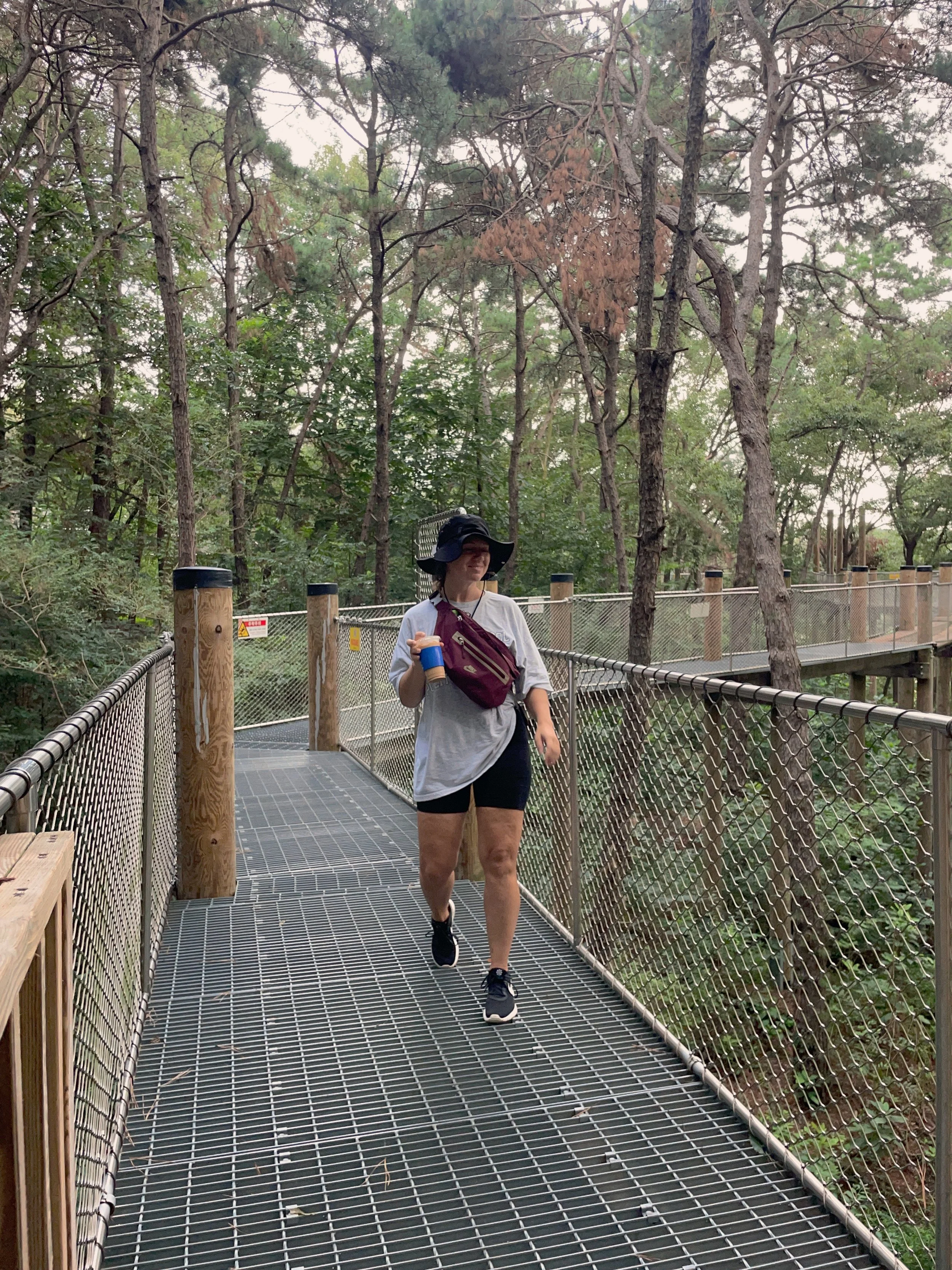 Around Pyeongtaek: Skywalk Doorway Trail at Buraksan