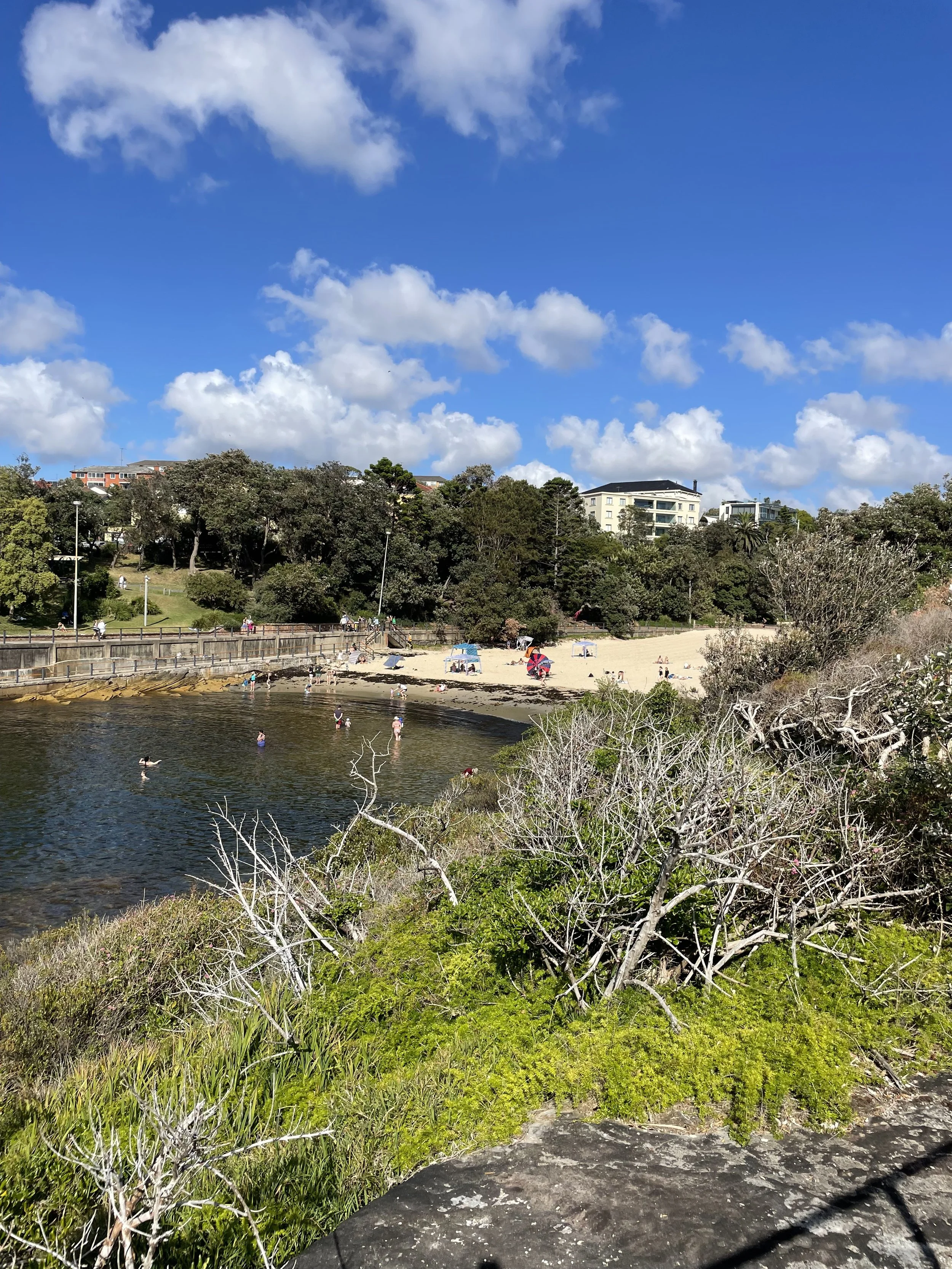 clovelly beach sydney.jpeg