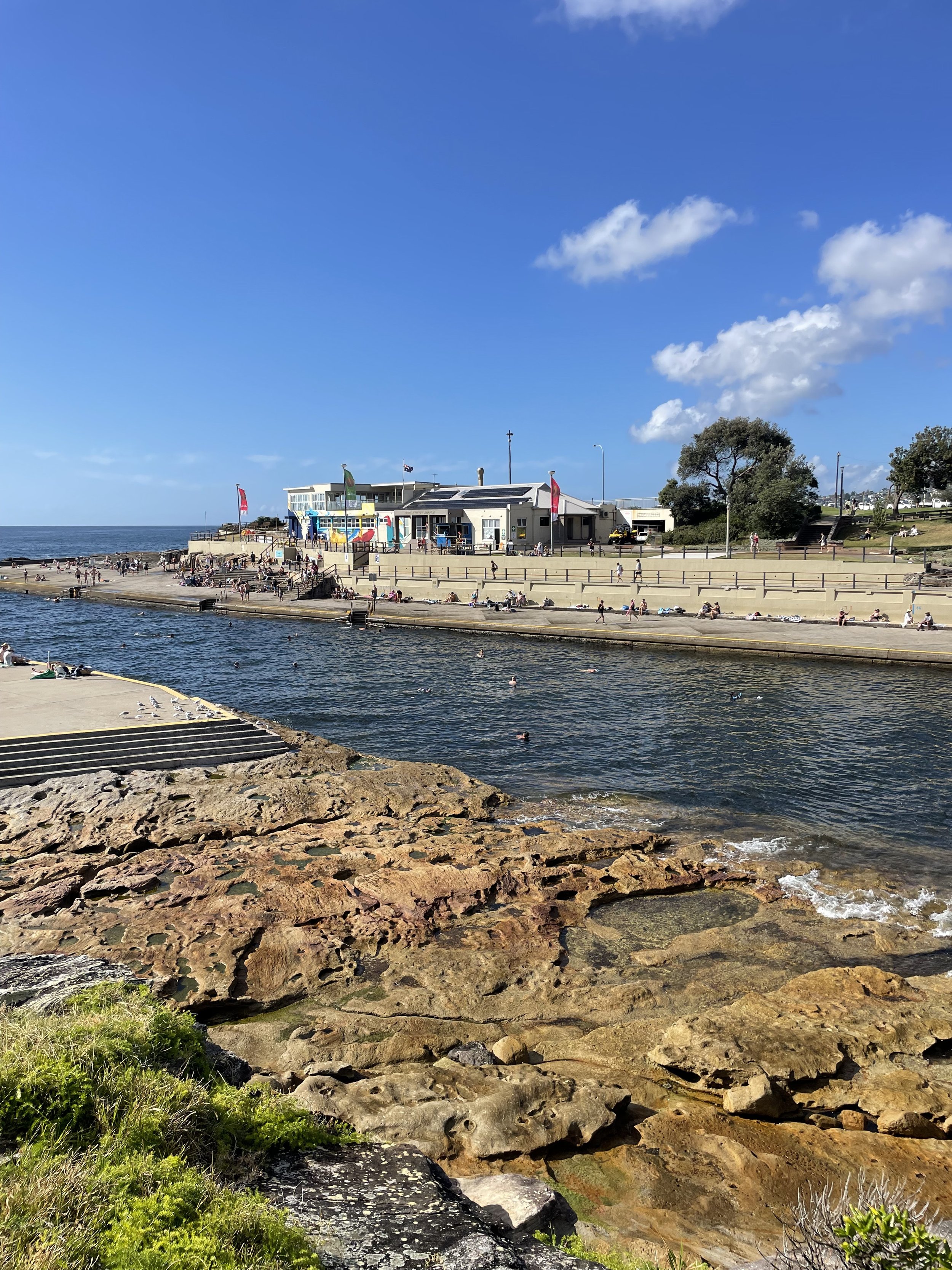clovelly beach bath sydney.jpeg