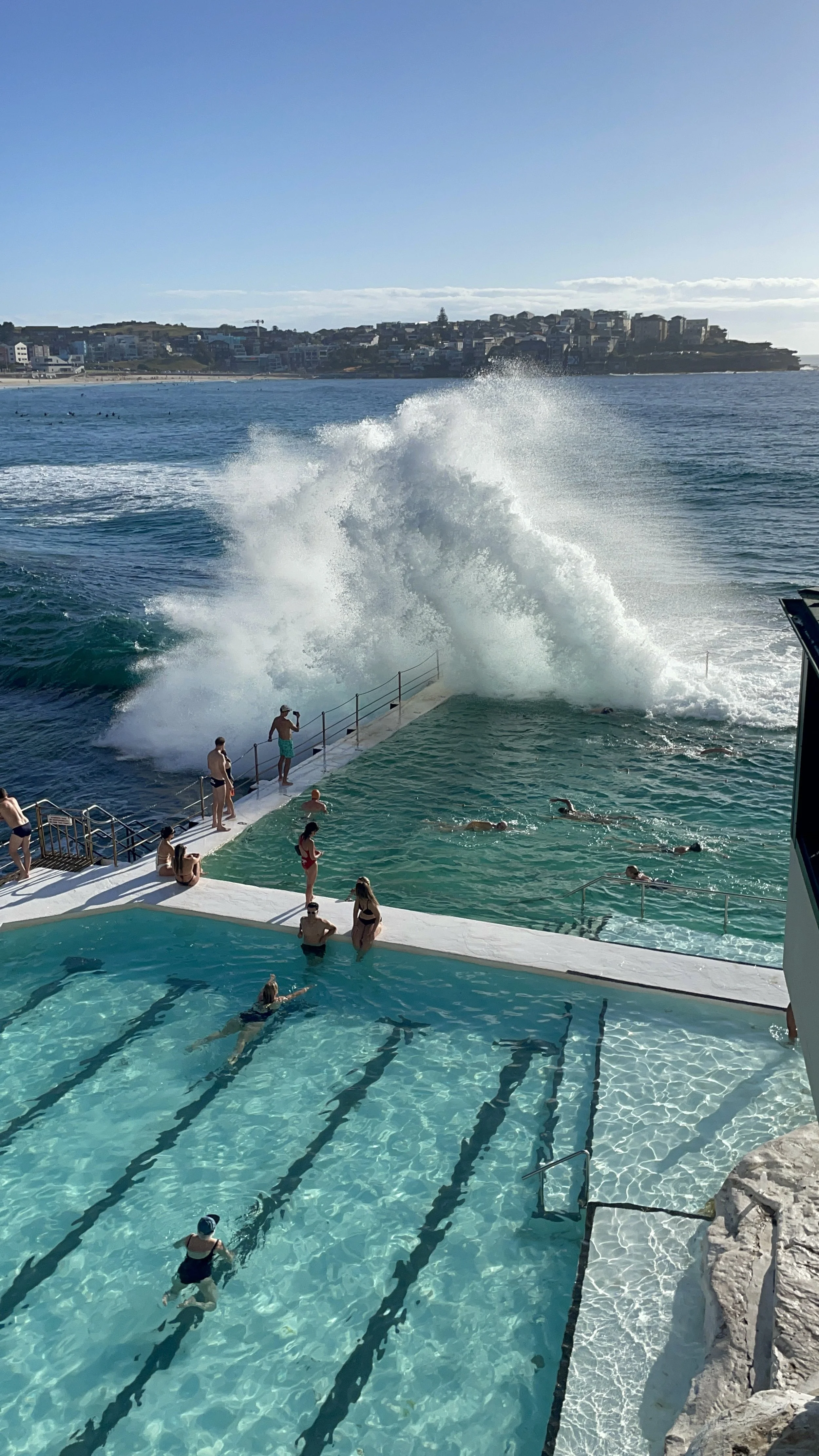 bondi icebergs 2.JPG