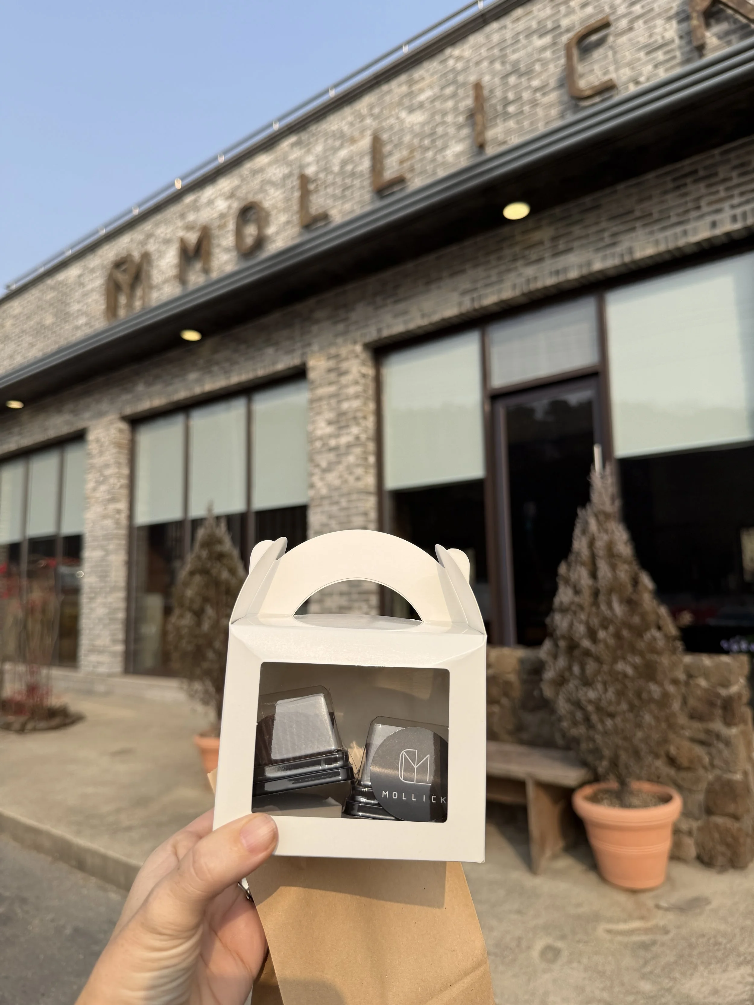 cafe mollick outdoors view.JPG