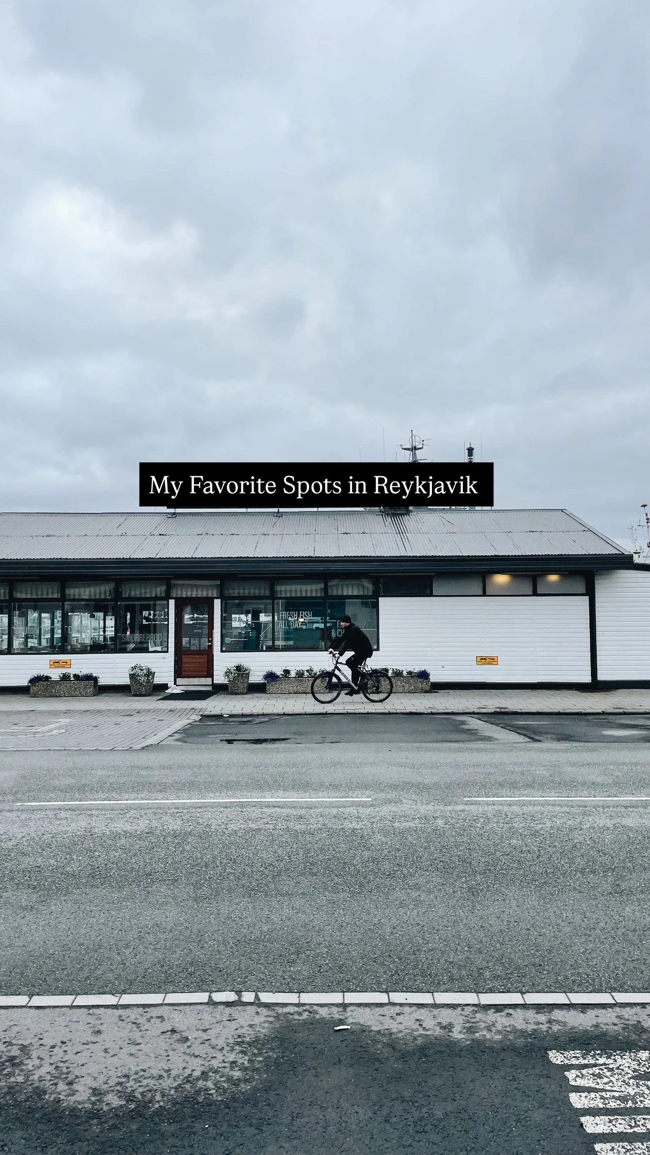 My Favorite Spots in Reykjavík
