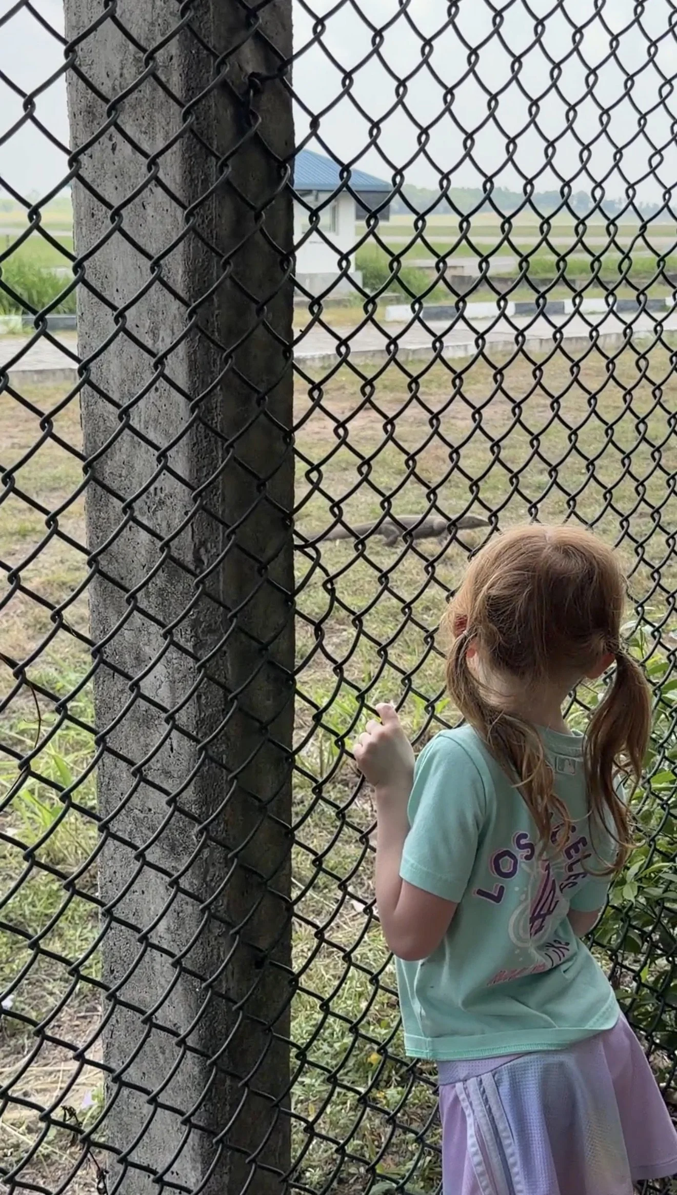 Children watching planes and wildlife while waiting for a Cinnamon Air flight in Colombo