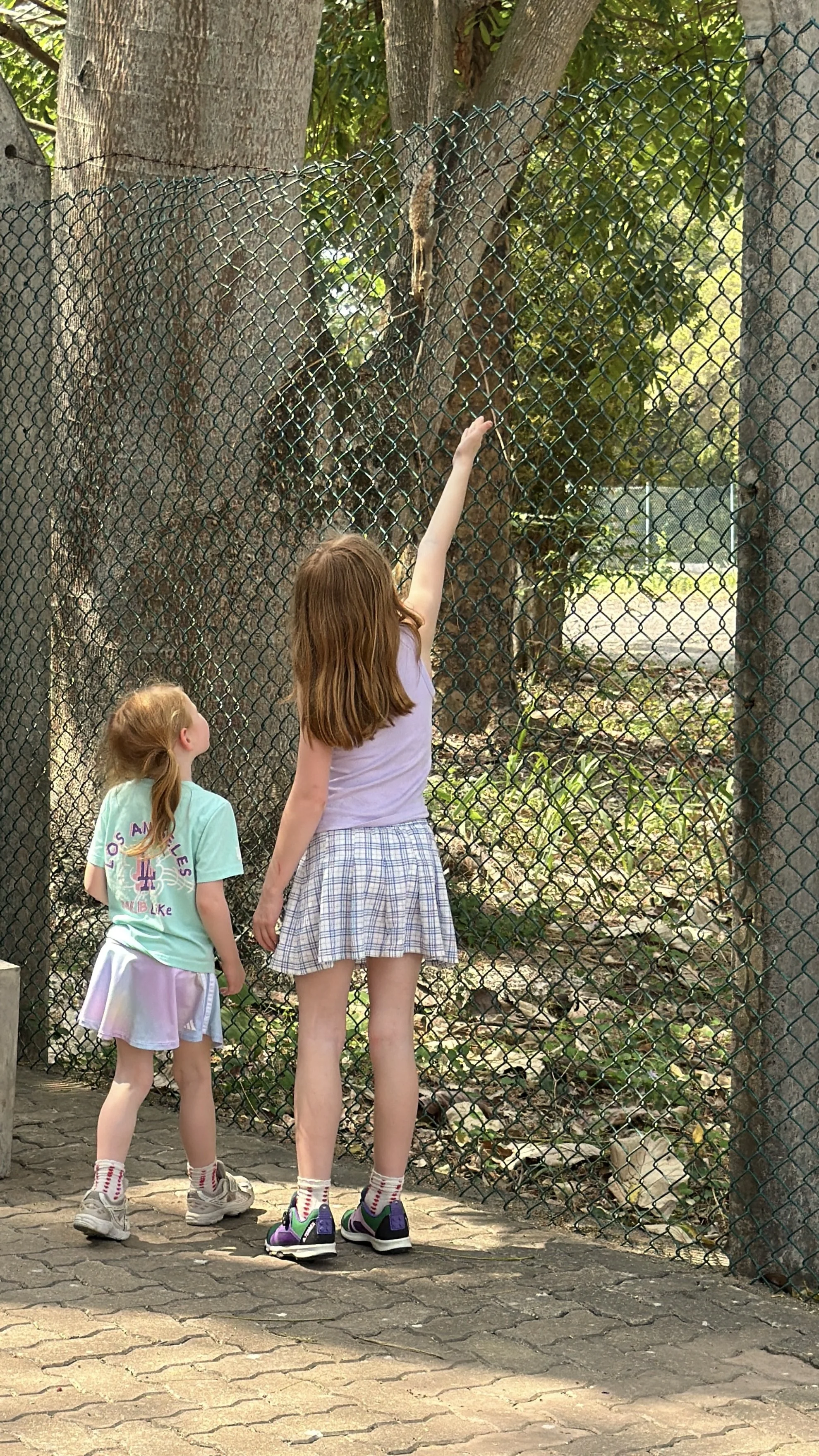 Children watching planes and wildlife while waiting for a Cinnamon Air flight in Colombo