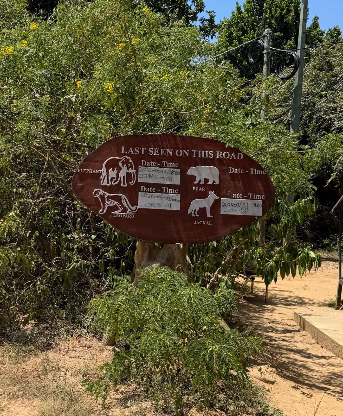 hilton yala last seen on this road sign.JPG