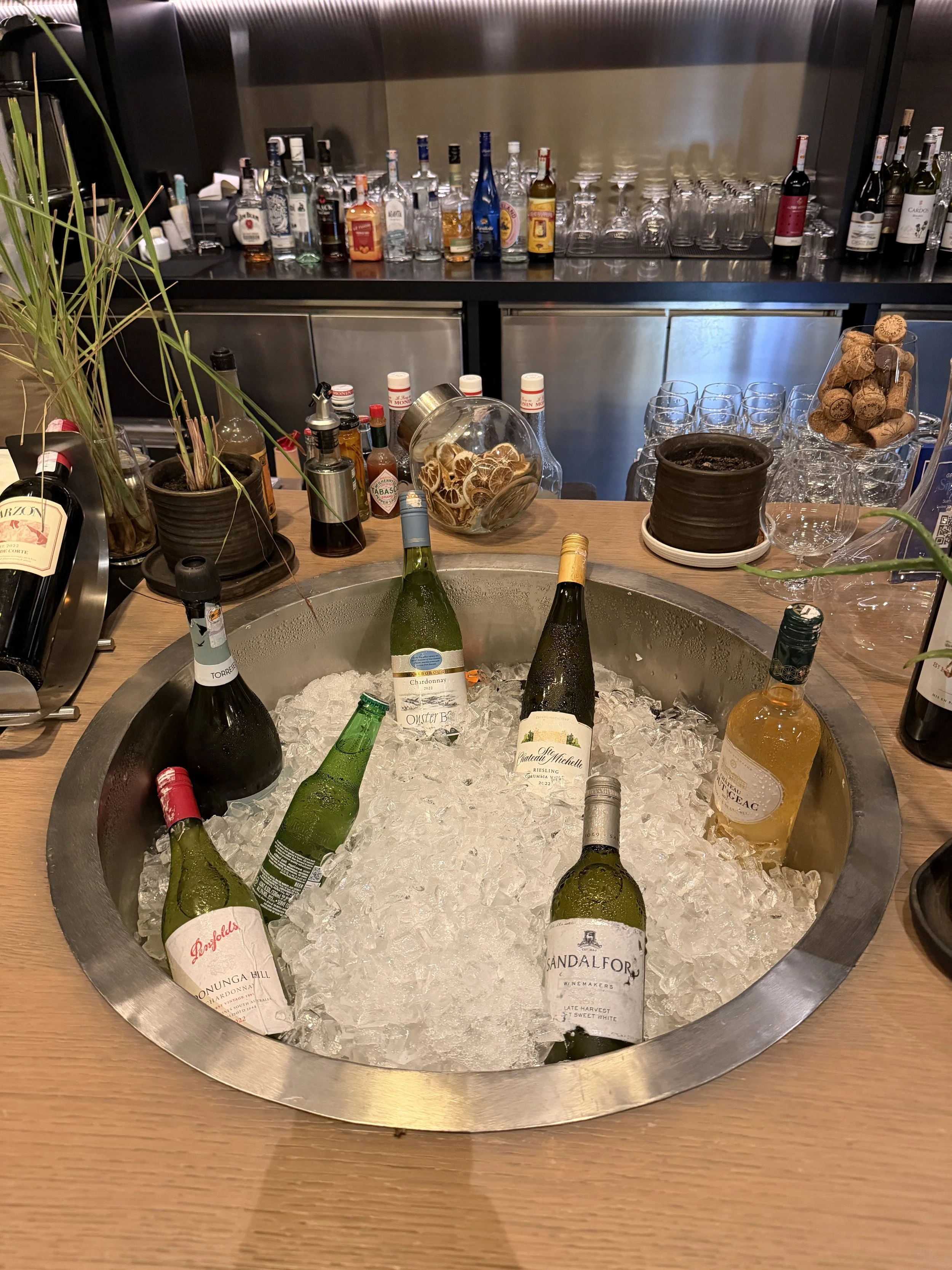 hilton yala bar wine in ice.JPG