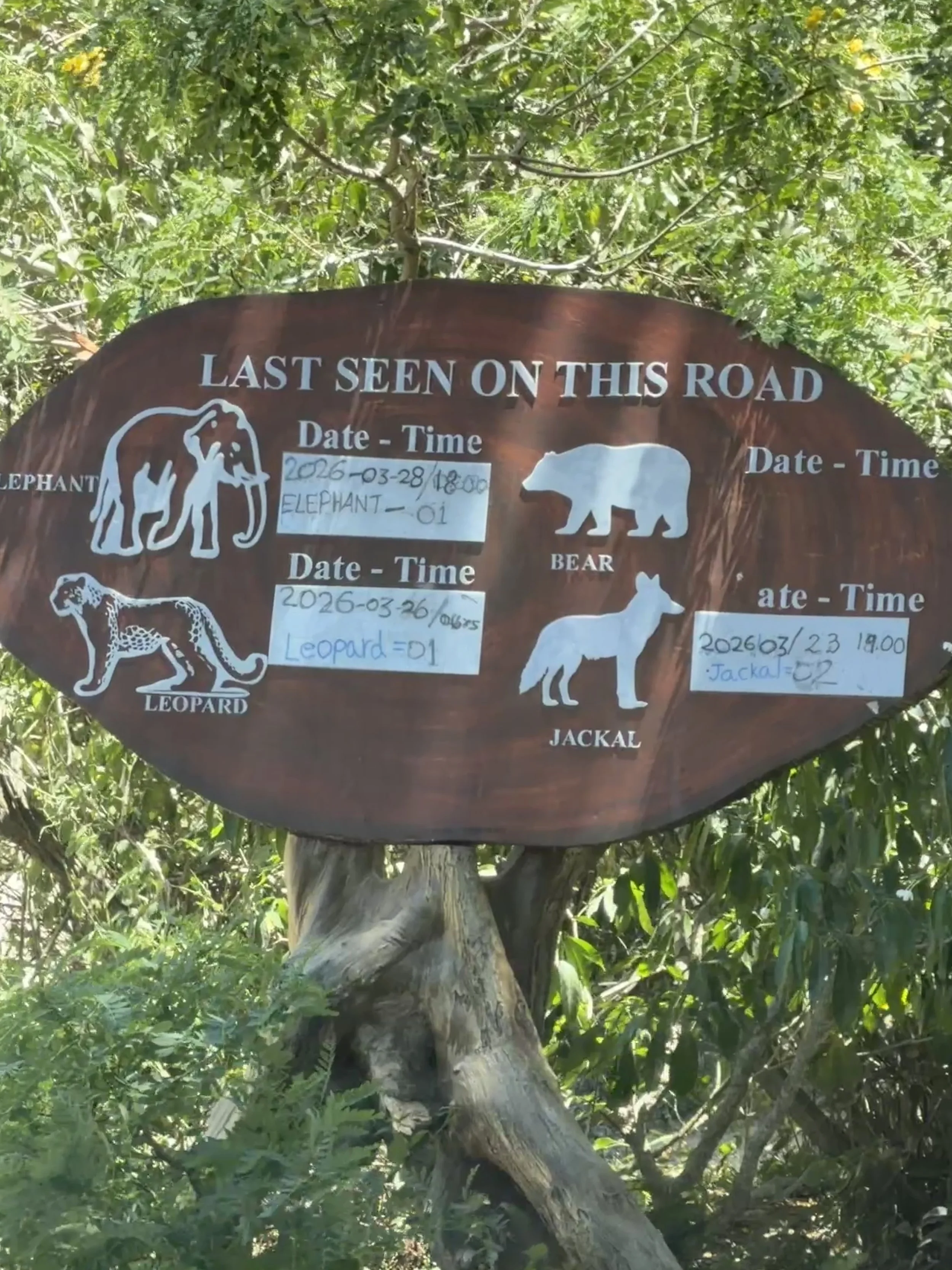 Hilton Yala elephant leopard jackal sign.JPG