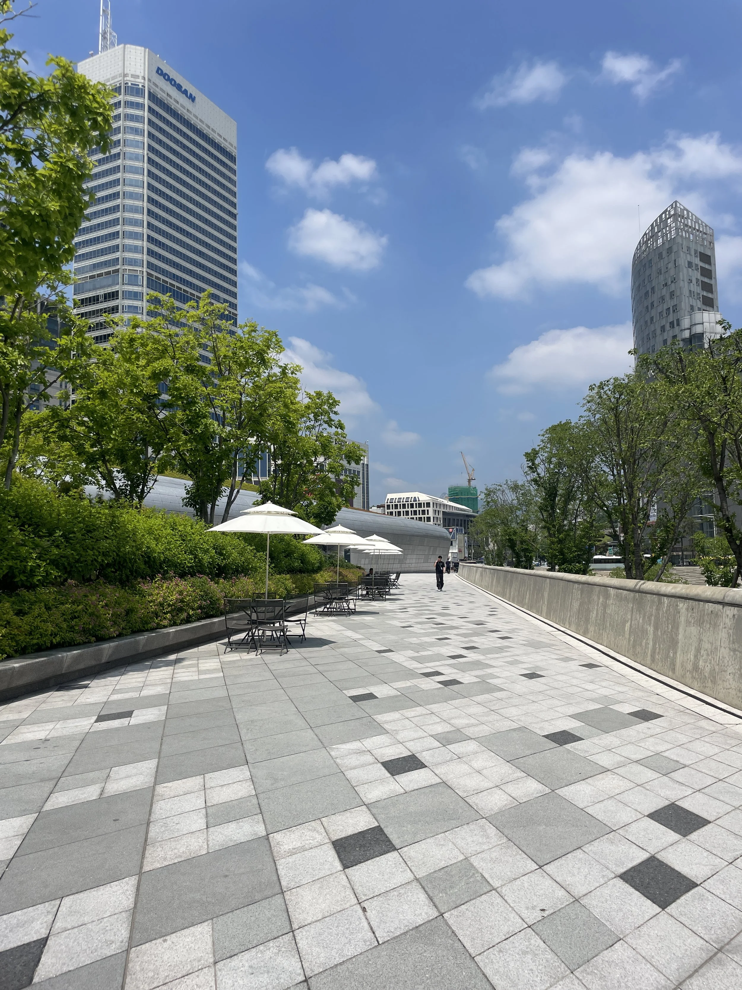 on top of dongdaemun bean.JPG