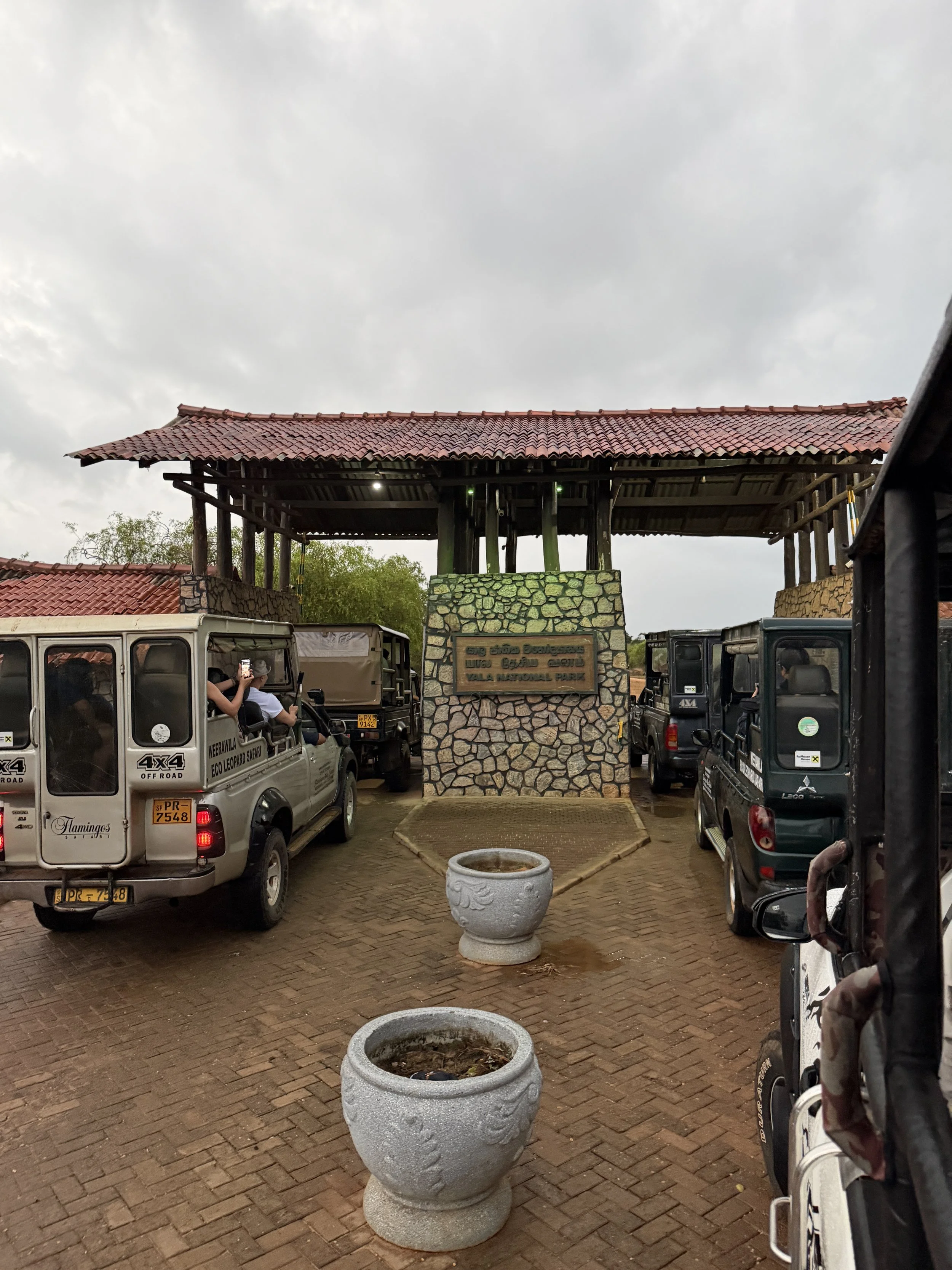 Yala National Park Safari With Kids