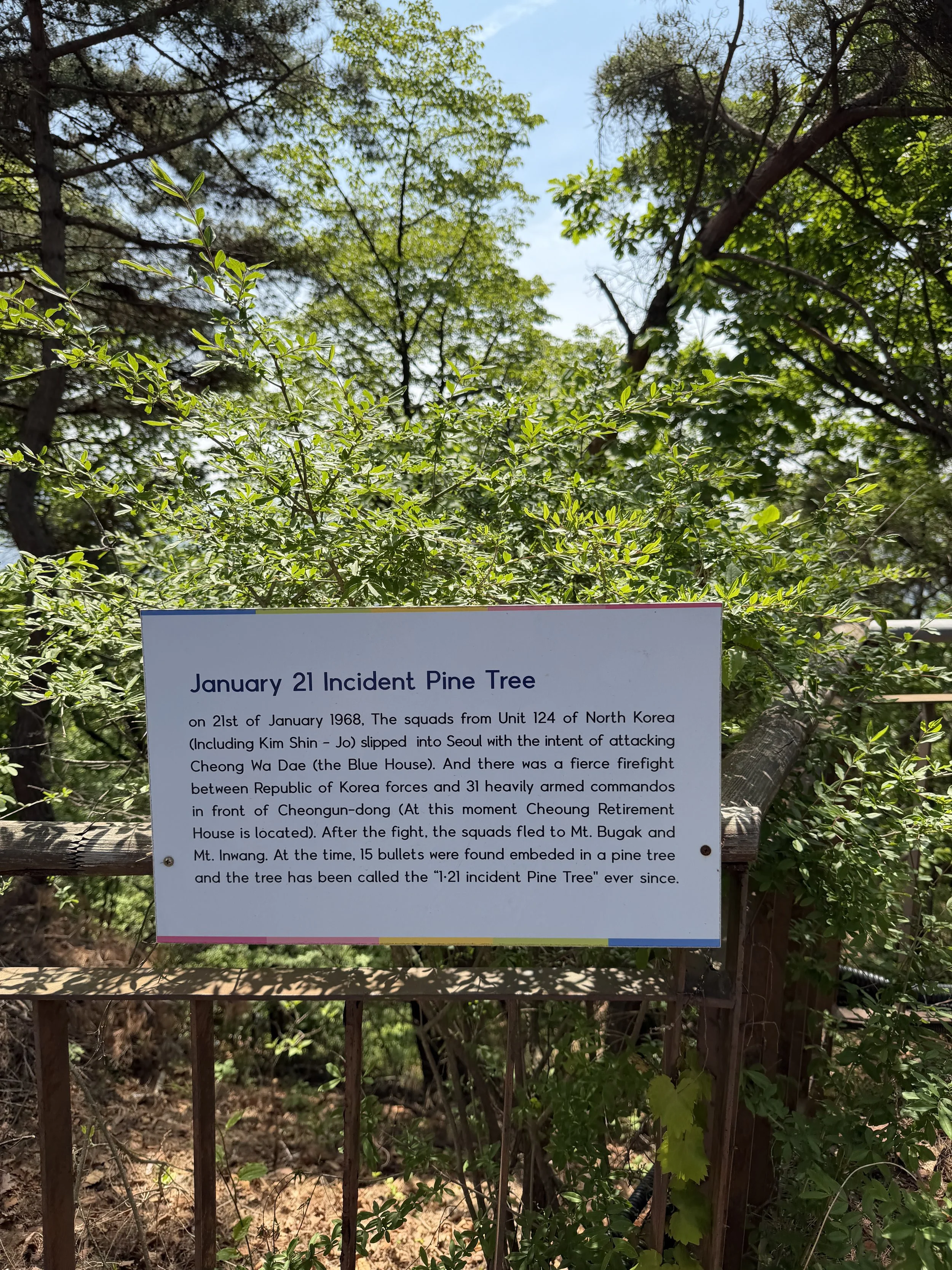 january 21 incident pine tree sign baegaksan.JPG