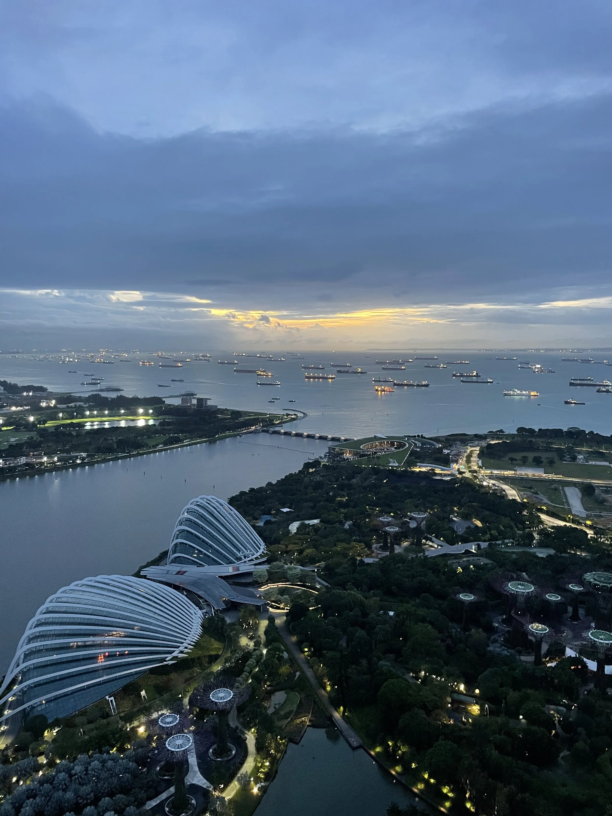 View of Gardens by the Bay Supertree light show from Marina Bay Sands balcony
