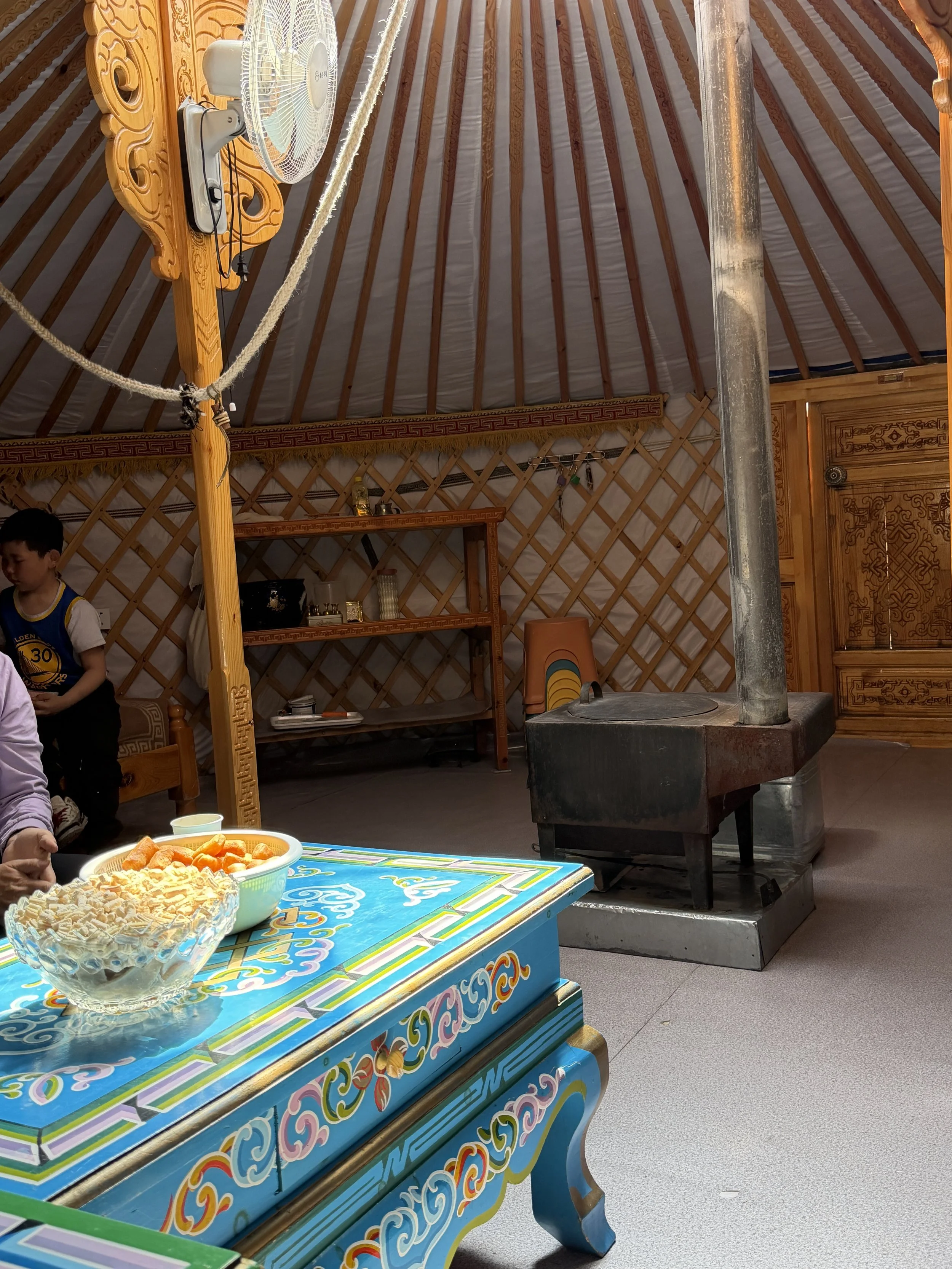 inside a traditional Mongolia living ger