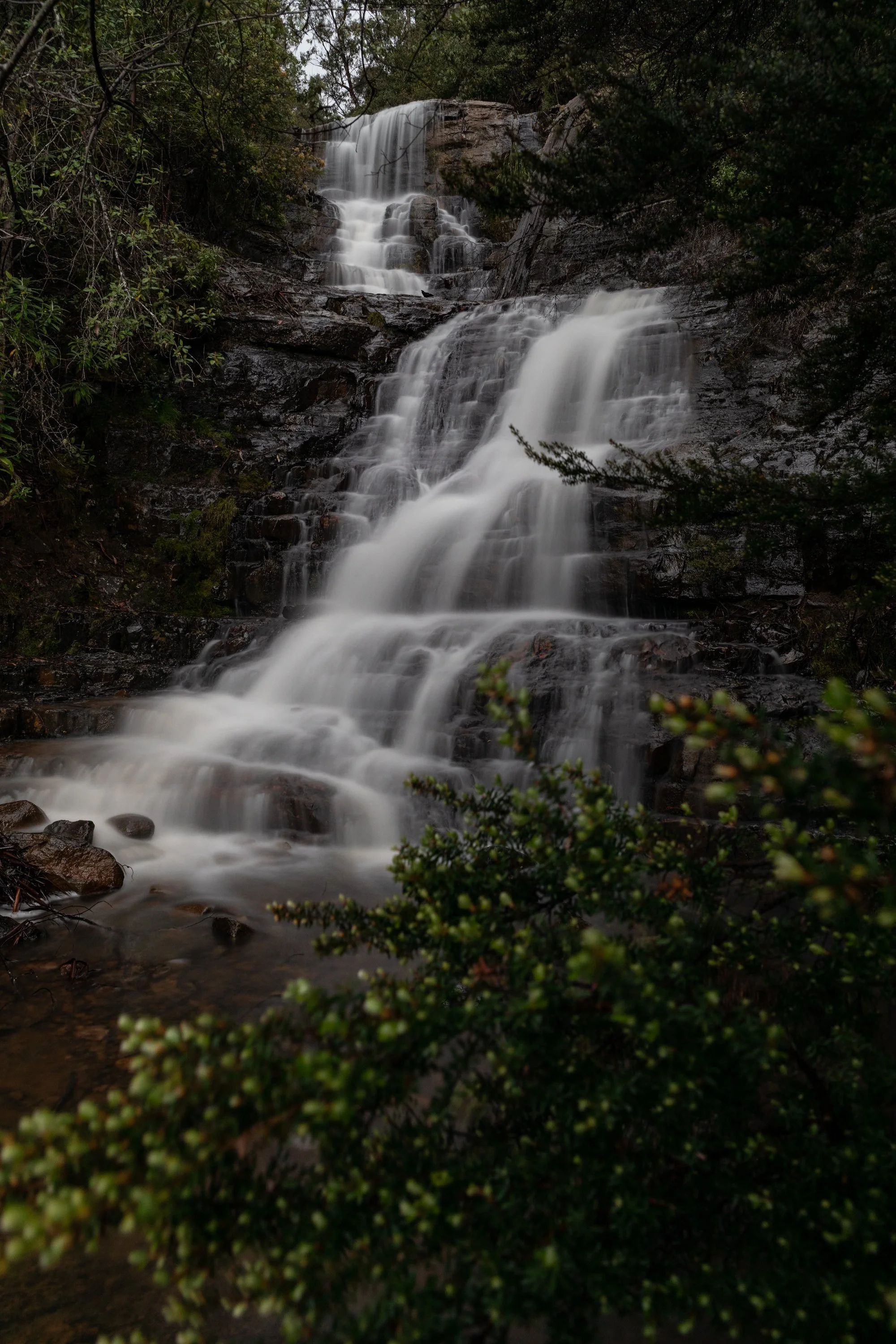 0I8A7592.jpg
