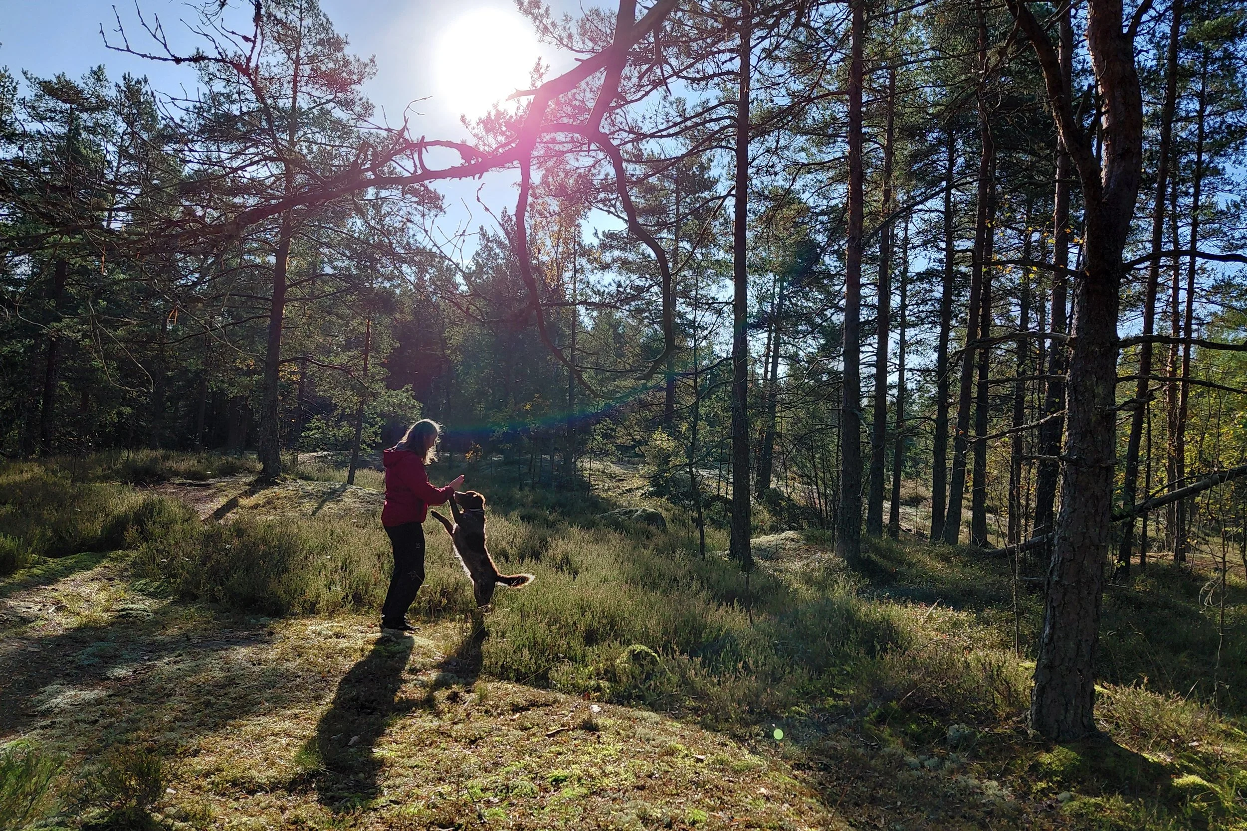 Valo on syksyn valuuttaa!